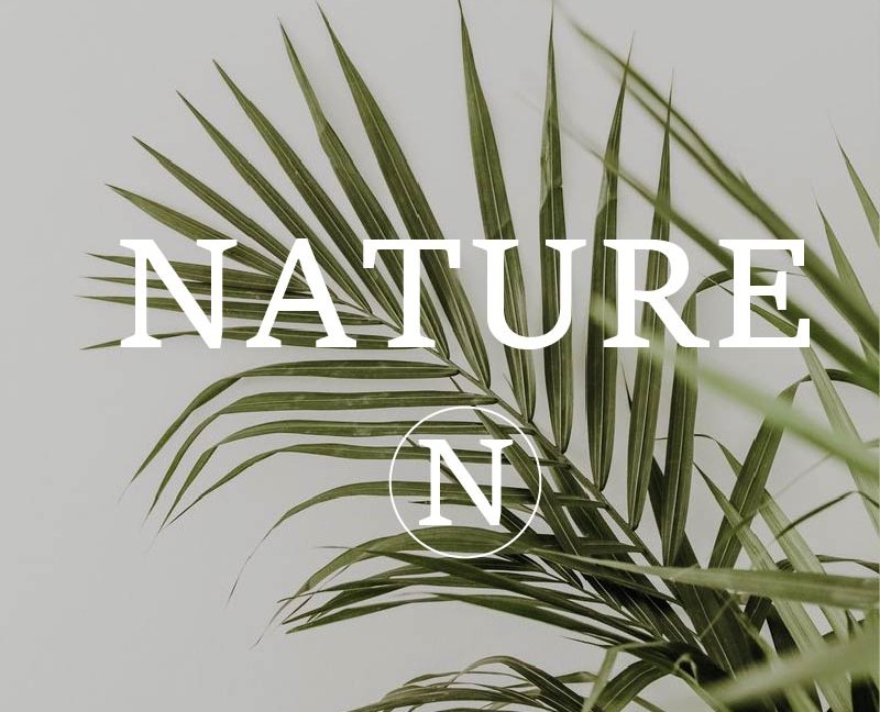 NATURE — Брендинг, Маркетинг на Dprofile