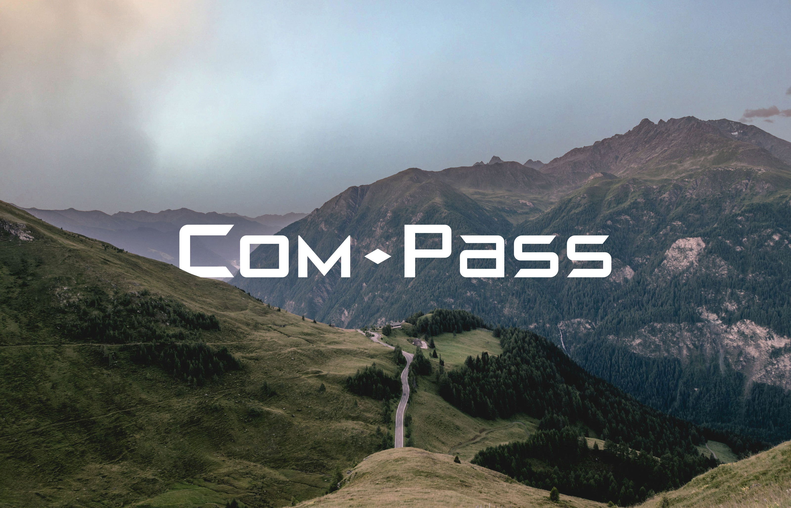 Com-Pass — Изображение №1 — Брендинг, Графика на Dprofile