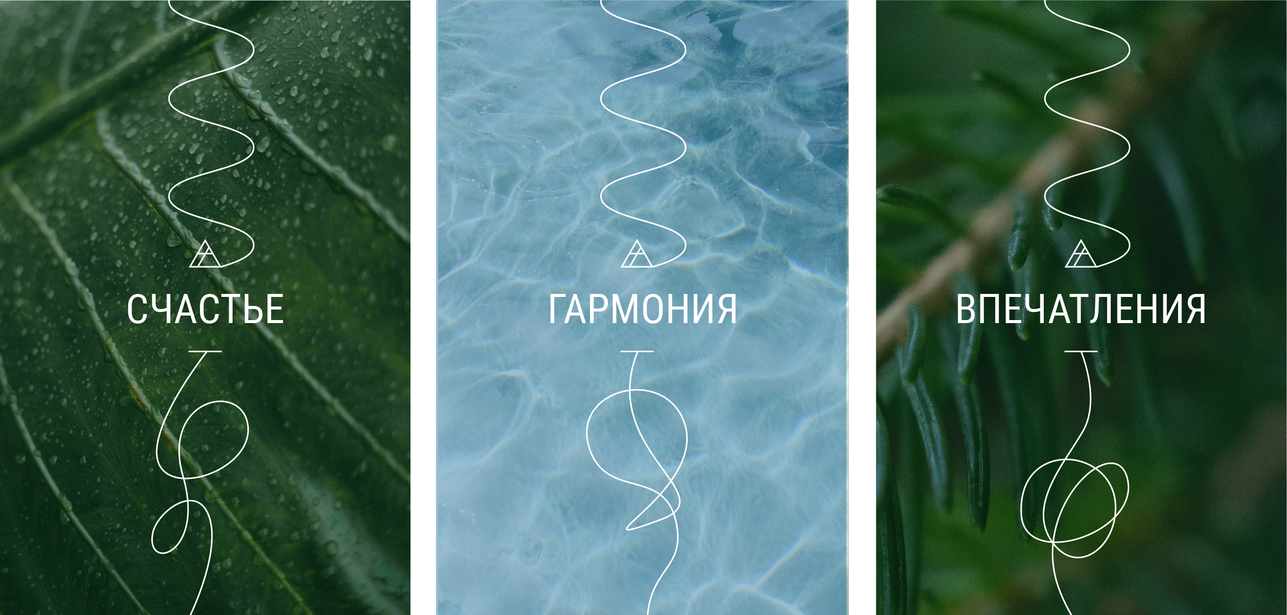 Дикая тропа | брендинг — Изображение №4 — Брендинг на Dprofile