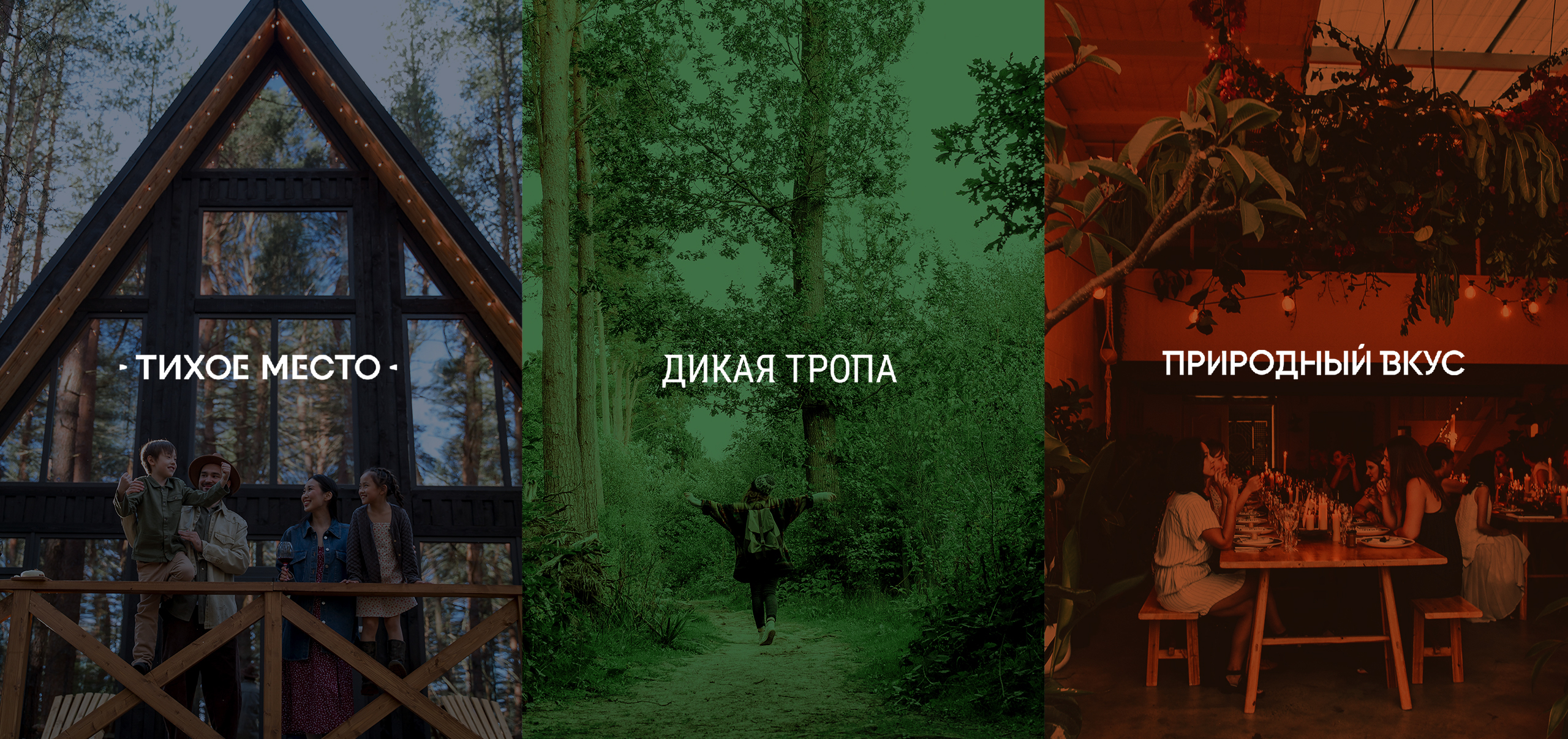 Дикая тропа | брендинг — Изображение №1 — Брендинг на Dprofile