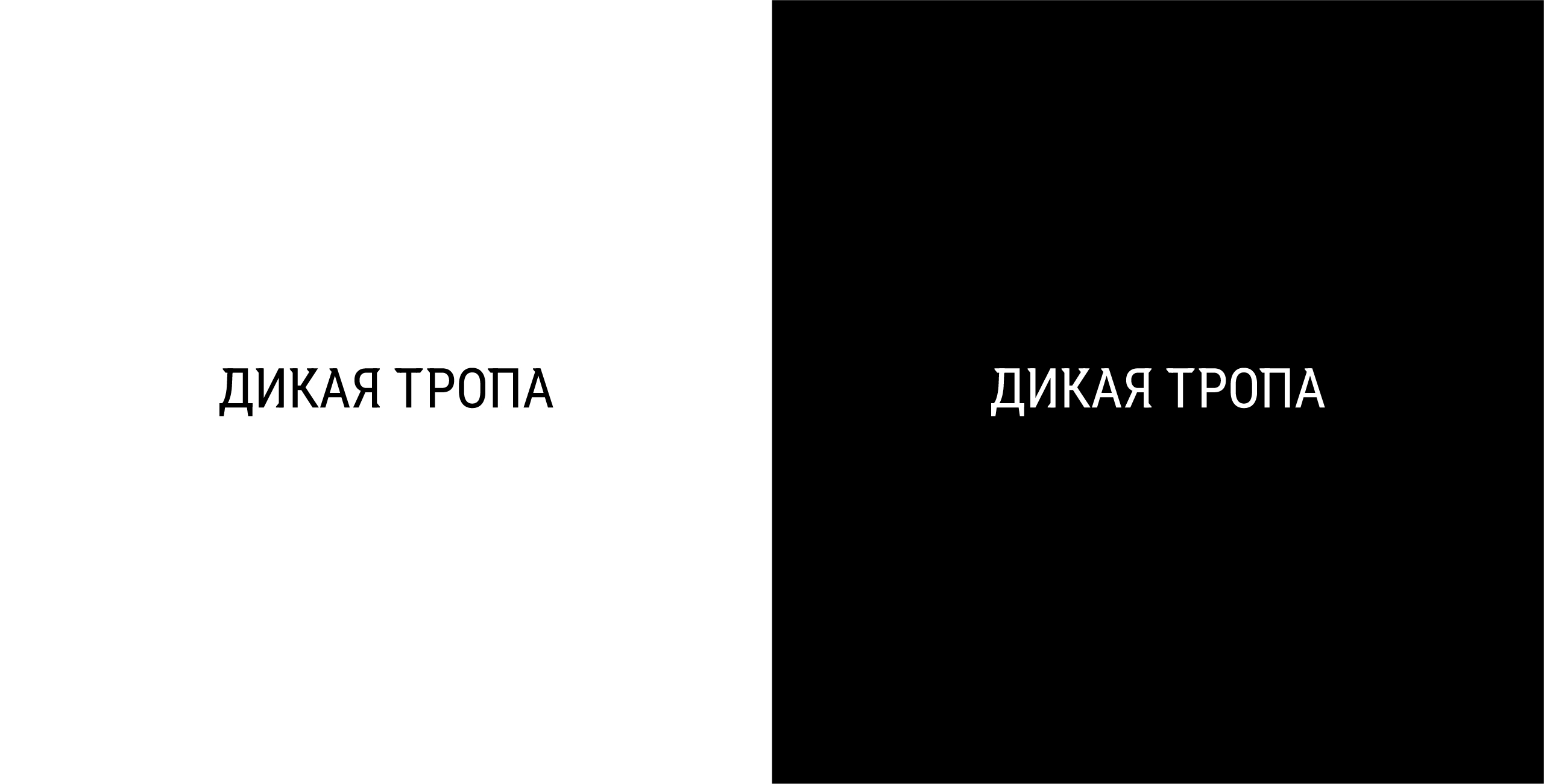 Дикая тропа | брендинг — Изображение №3 — Брендинг на Dprofile