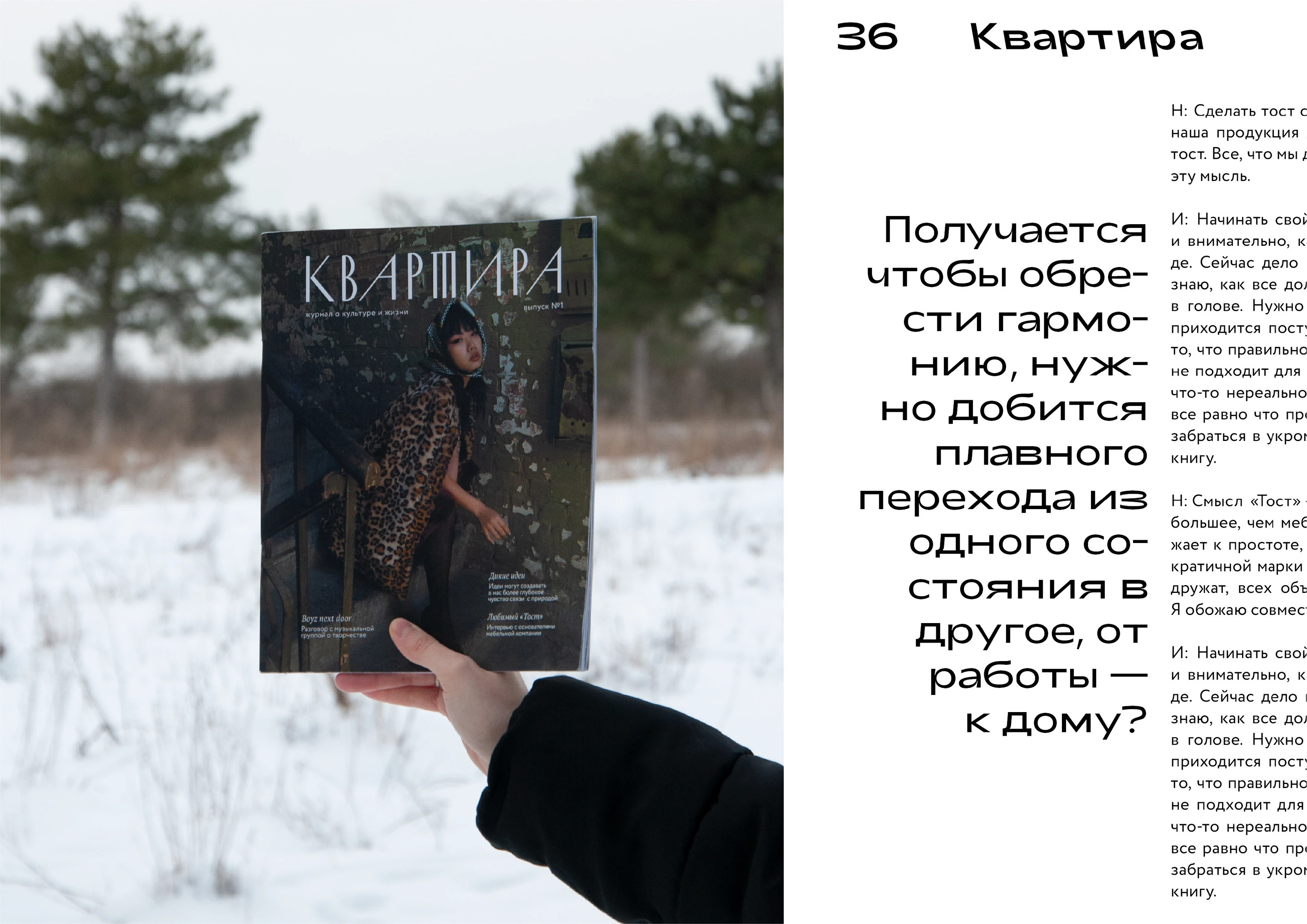 Периодическое издание "Квартира" — Изображение №9 — Графика на Dprofile