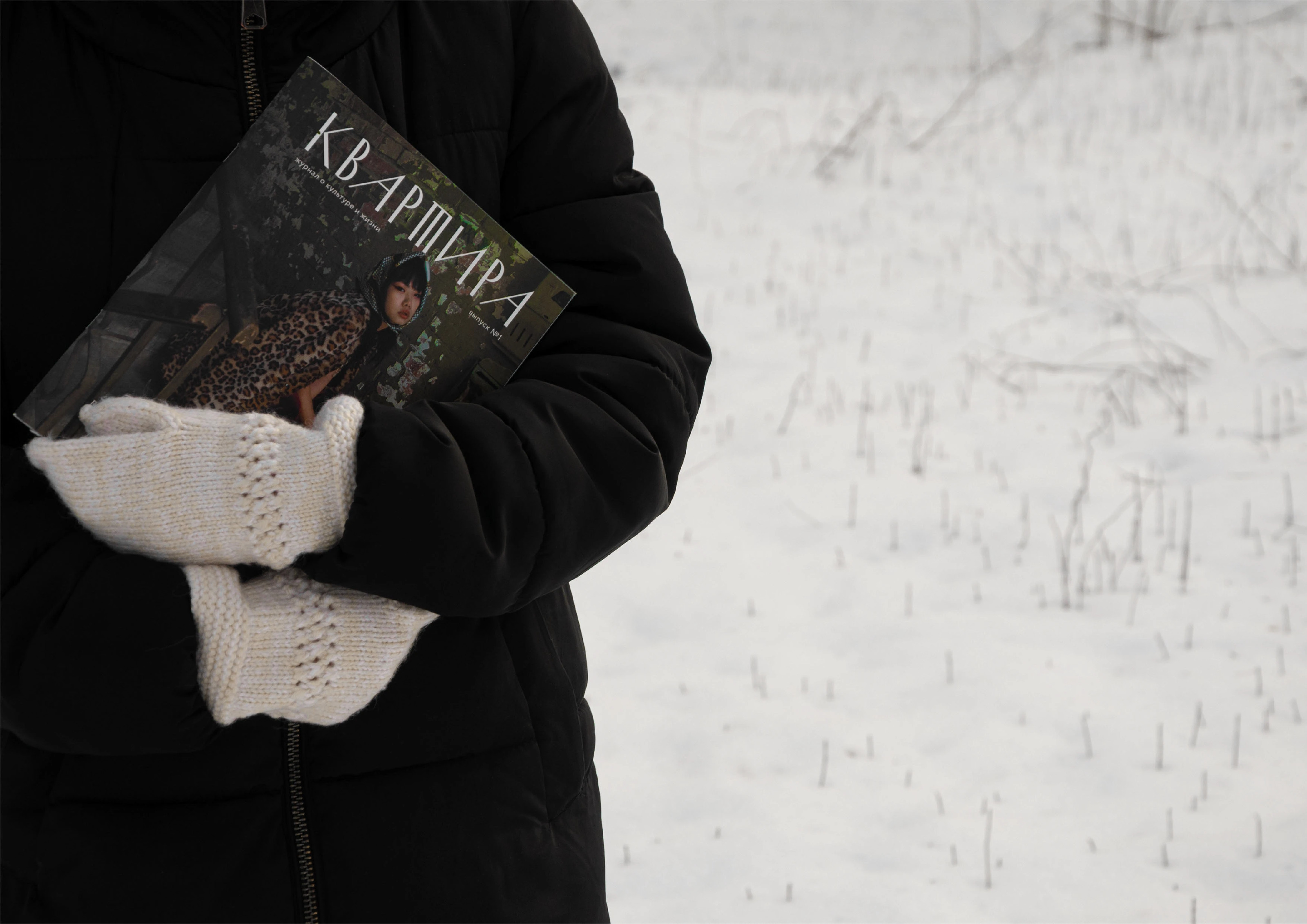 Периодическое издание "Квартира" — Изображение №2 — Графика на Dprofile
