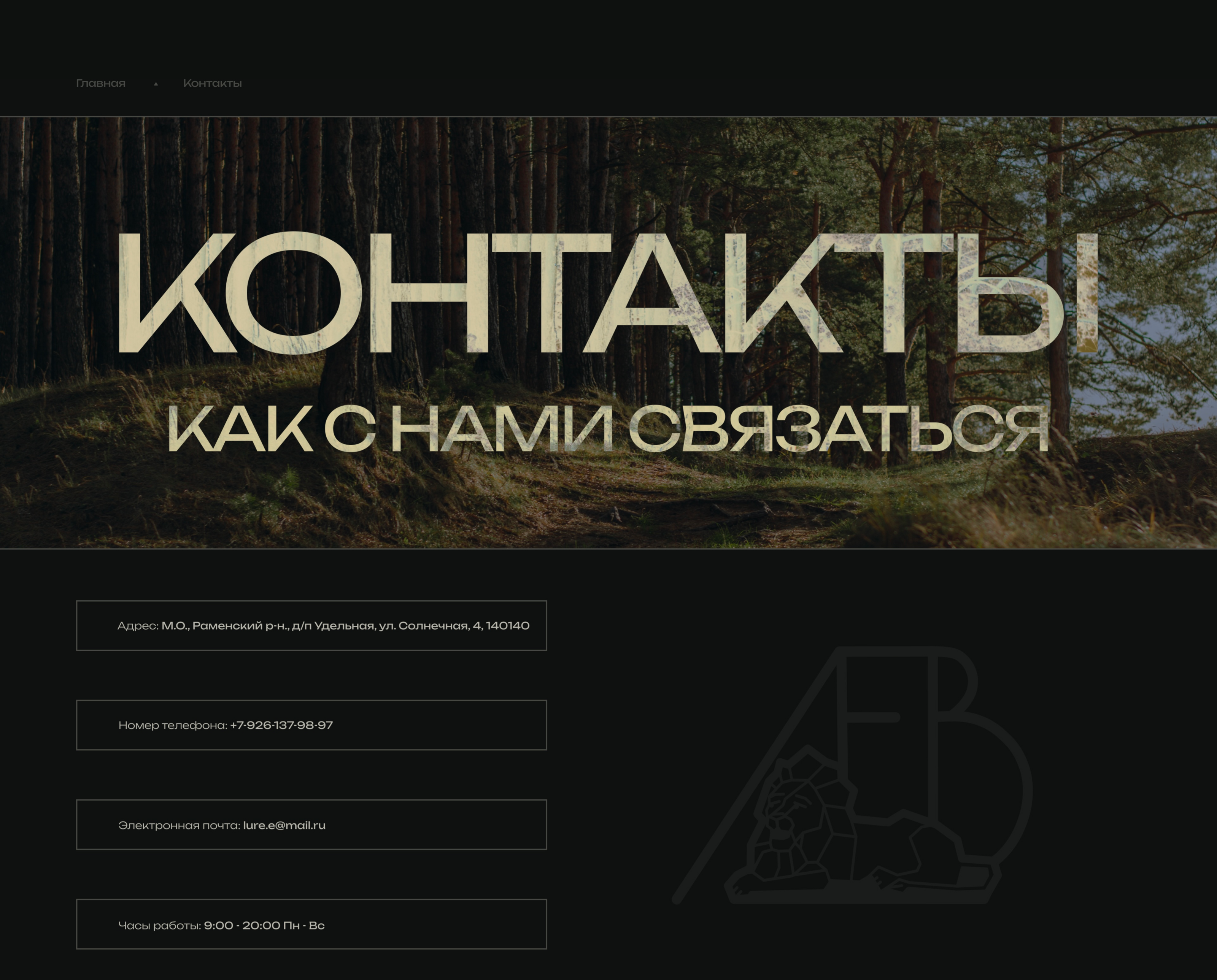 Проект ЛЕВ 2023 — Изображение №13 — Интерфейсы, Брендинг на Dprofile
