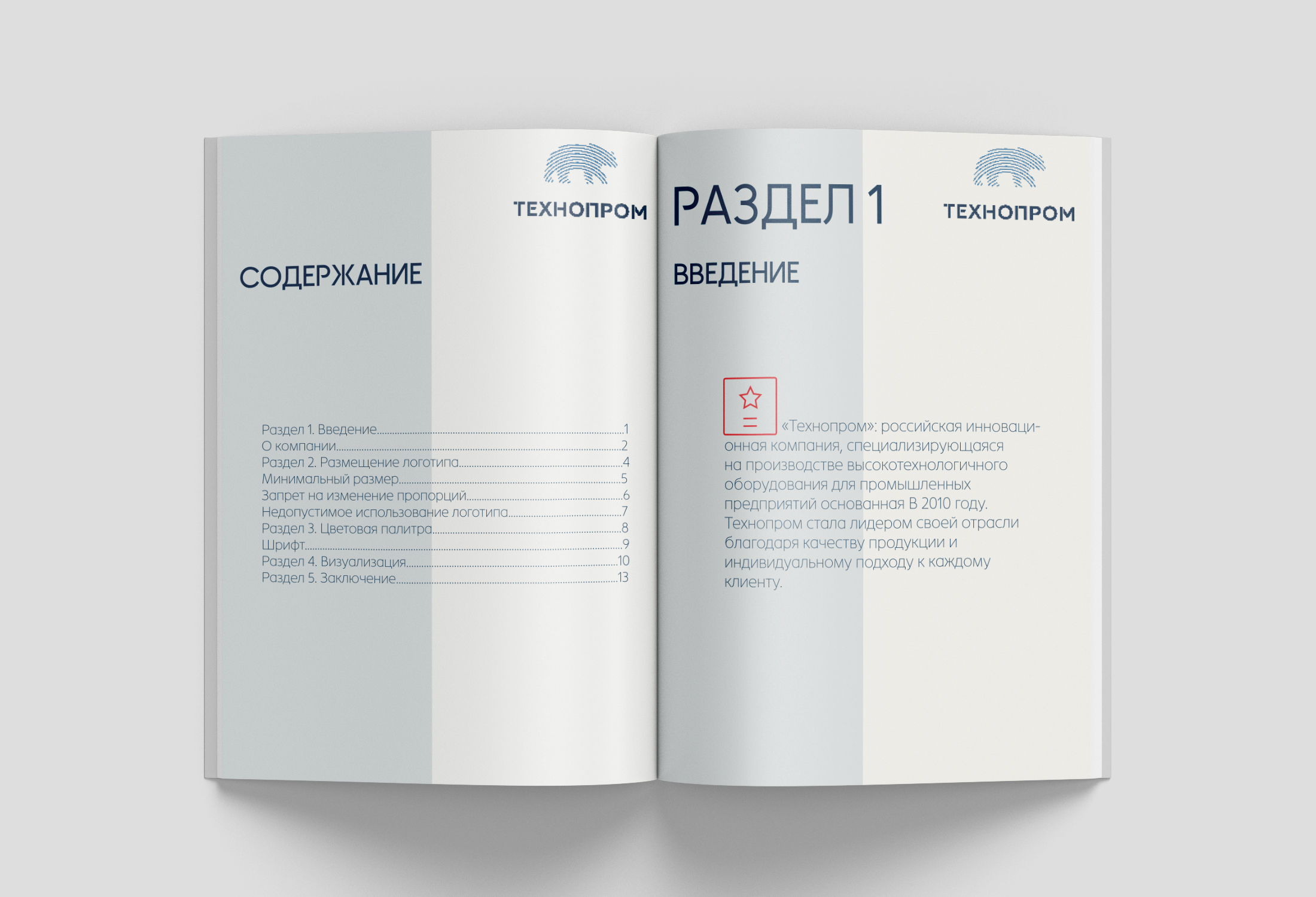 Разработка логобука для компании "Технопром" — Изображение №2 — Брендинг, Графика на Dprofile