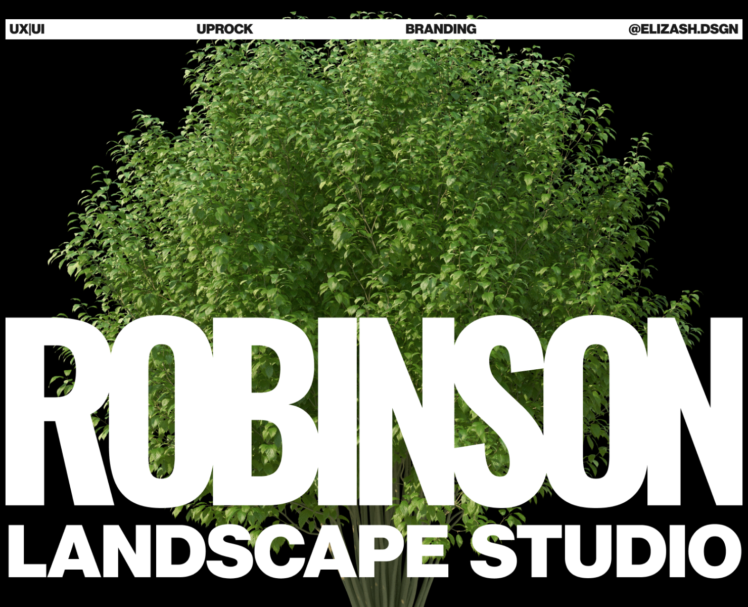 Landscape design studio/landing page на Dprofile