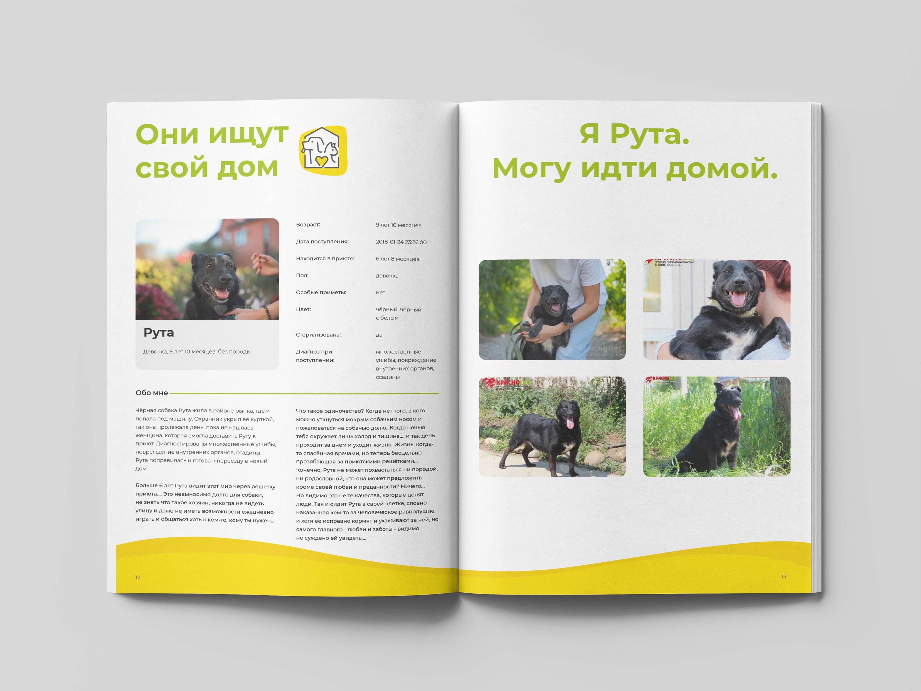 Дизайн и верстка буклета для приюта | Polygraphy — Изображение №8 — Брендинг, Графика на Dprofile