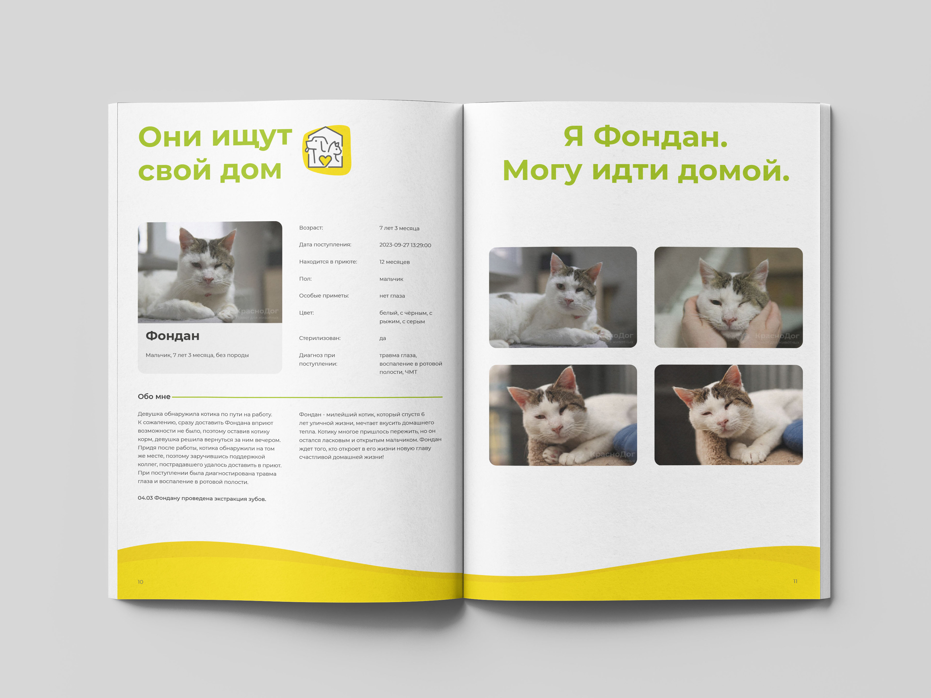 Дизайн и верстка буклета для приюта | Polygraphy — Изображение №7 — Брендинг, Графика на Dprofile