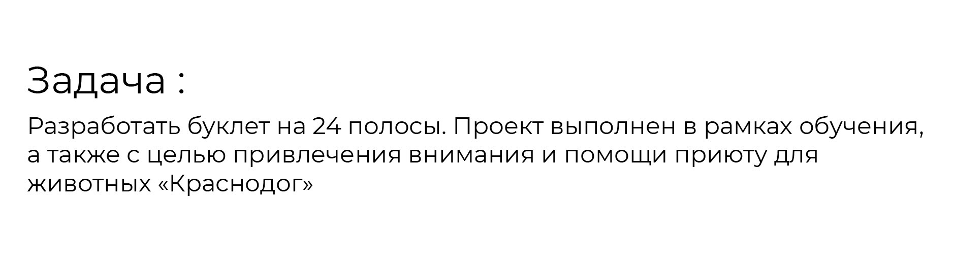 Дизайн и верстка буклета для приюта | Polygraphy — Изображение №2 — Брендинг, Графика на Dprofile