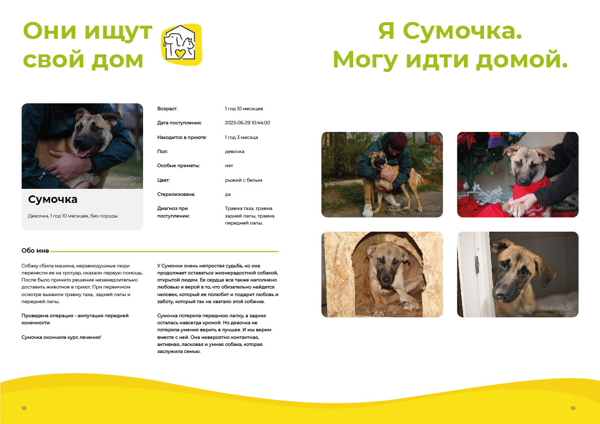 Дизайн и верстка буклета для приюта | Polygraphy — Изображение №24 — Брендинг, Графика на Dprofile