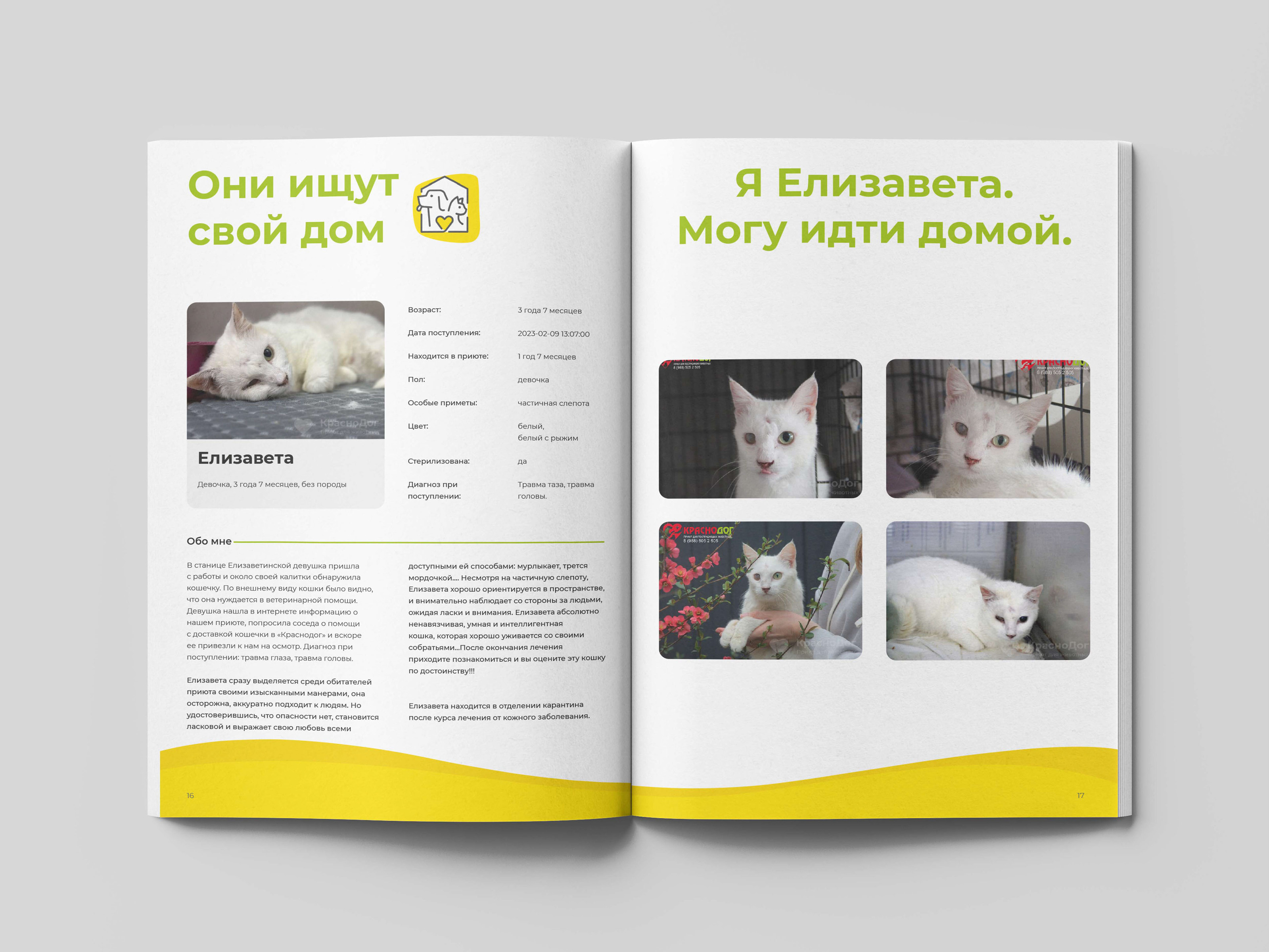 Дизайн и верстка буклета для приюта | Polygraphy — Изображение №10 — Брендинг, Графика на Dprofile