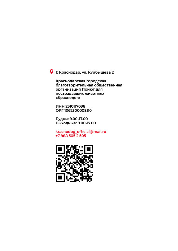 Дизайн и верстка буклета для приюта | Polygraphy — Изображение №27 — Брендинг, Графика на Dprofile