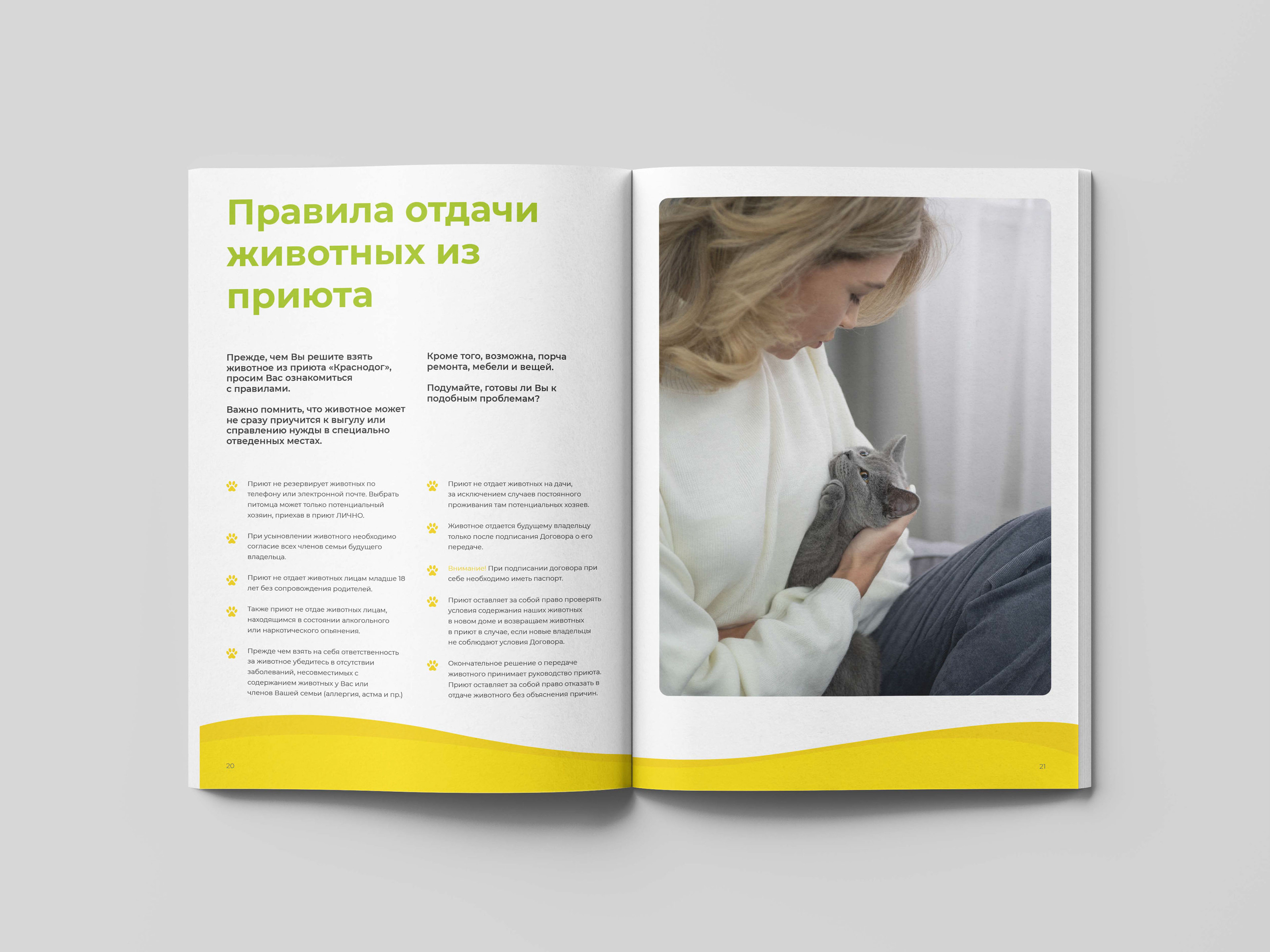 Дизайн и верстка буклета для приюта | Polygraphy — Изображение №12 — Брендинг, Графика на Dprofile