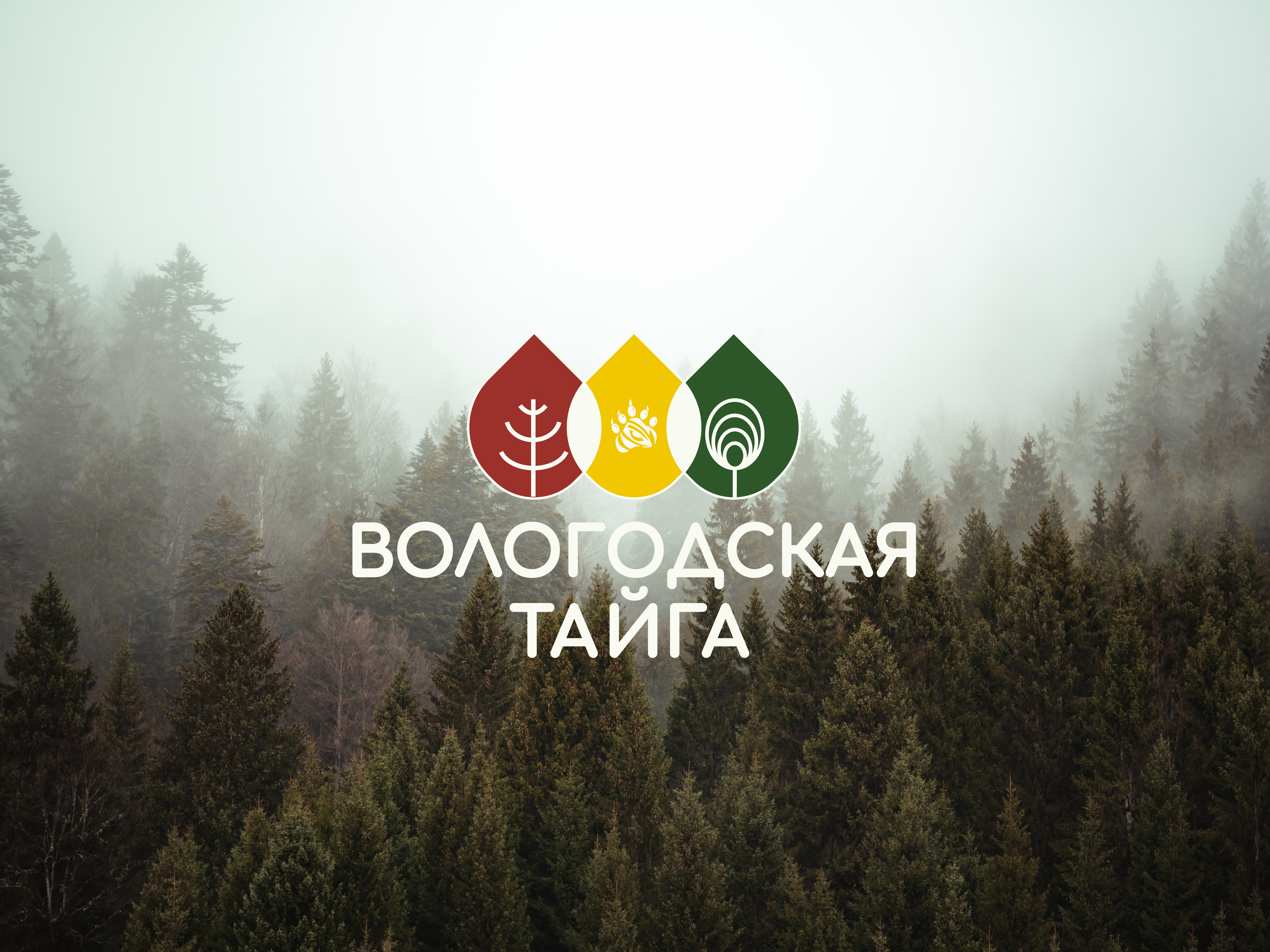 Логотип для бренда товаров для здоровья — Изображение №1 — Графика, Маркетинг на Dprofile