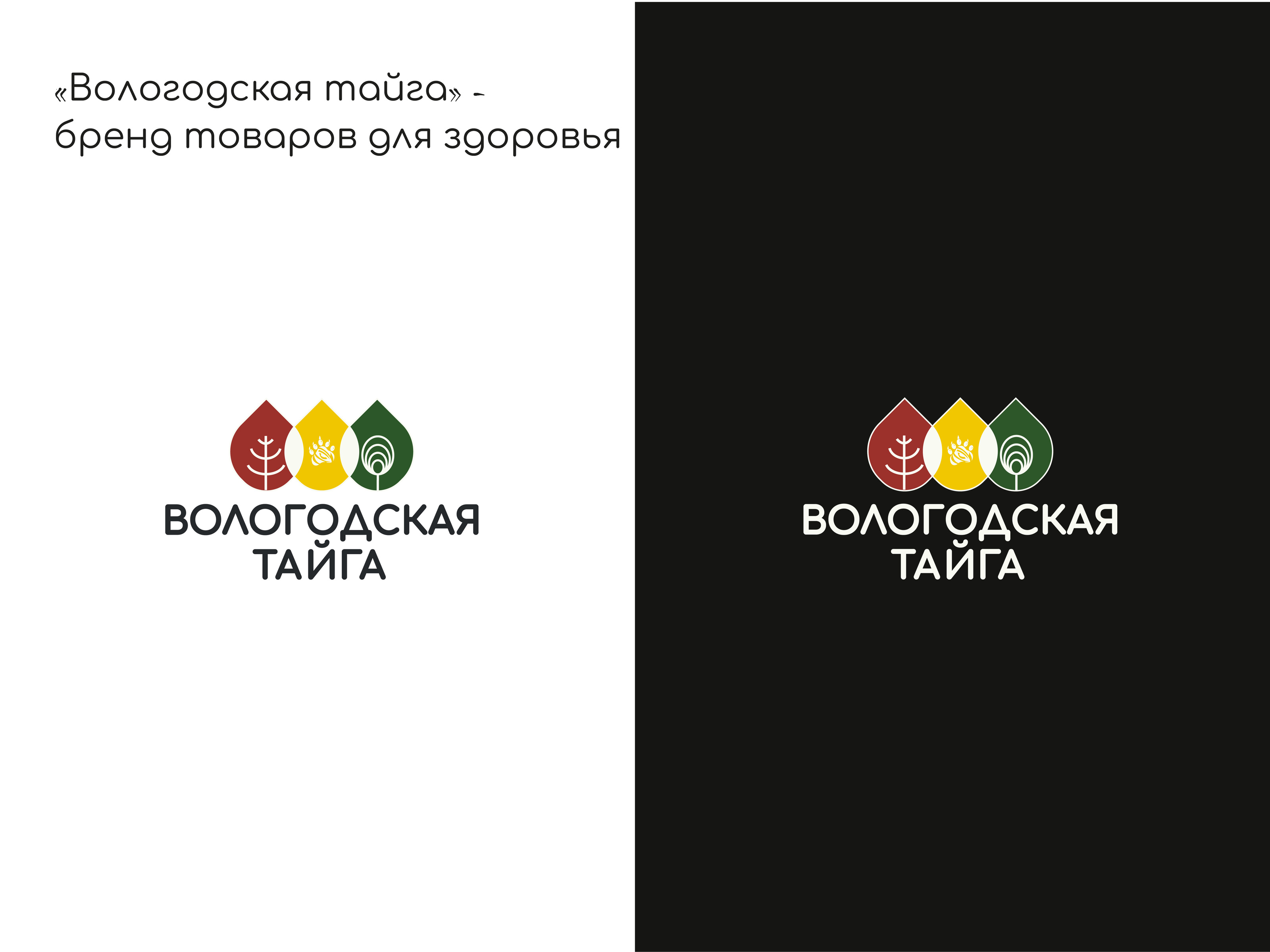 Логотип для бренда товаров для здоровья — Изображение №2 — Графика, Маркетинг на Dprofile