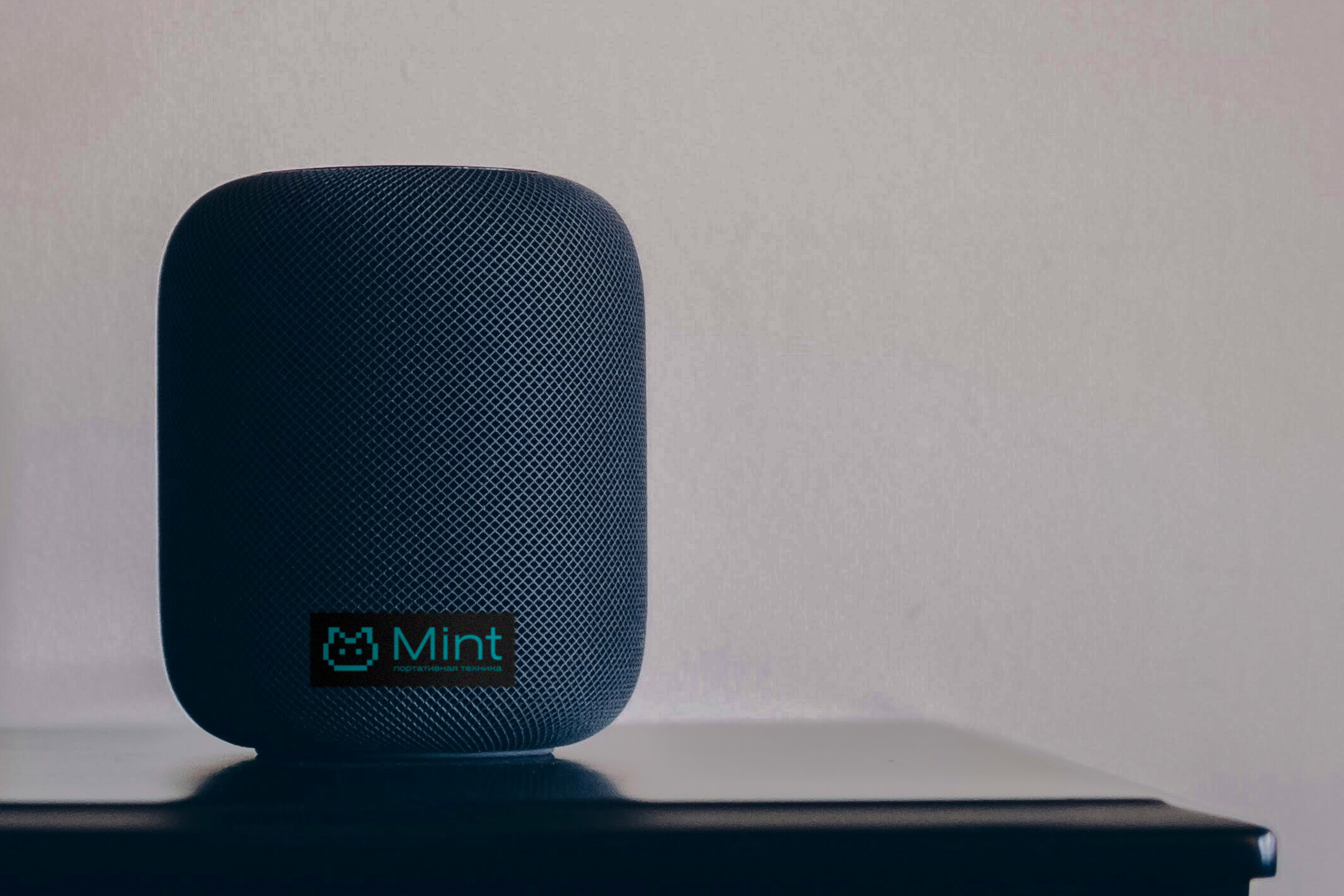 Производитель портативной техники Mint. Логотип — Изображение №3 — Брендинг, Графика на Dprofile
