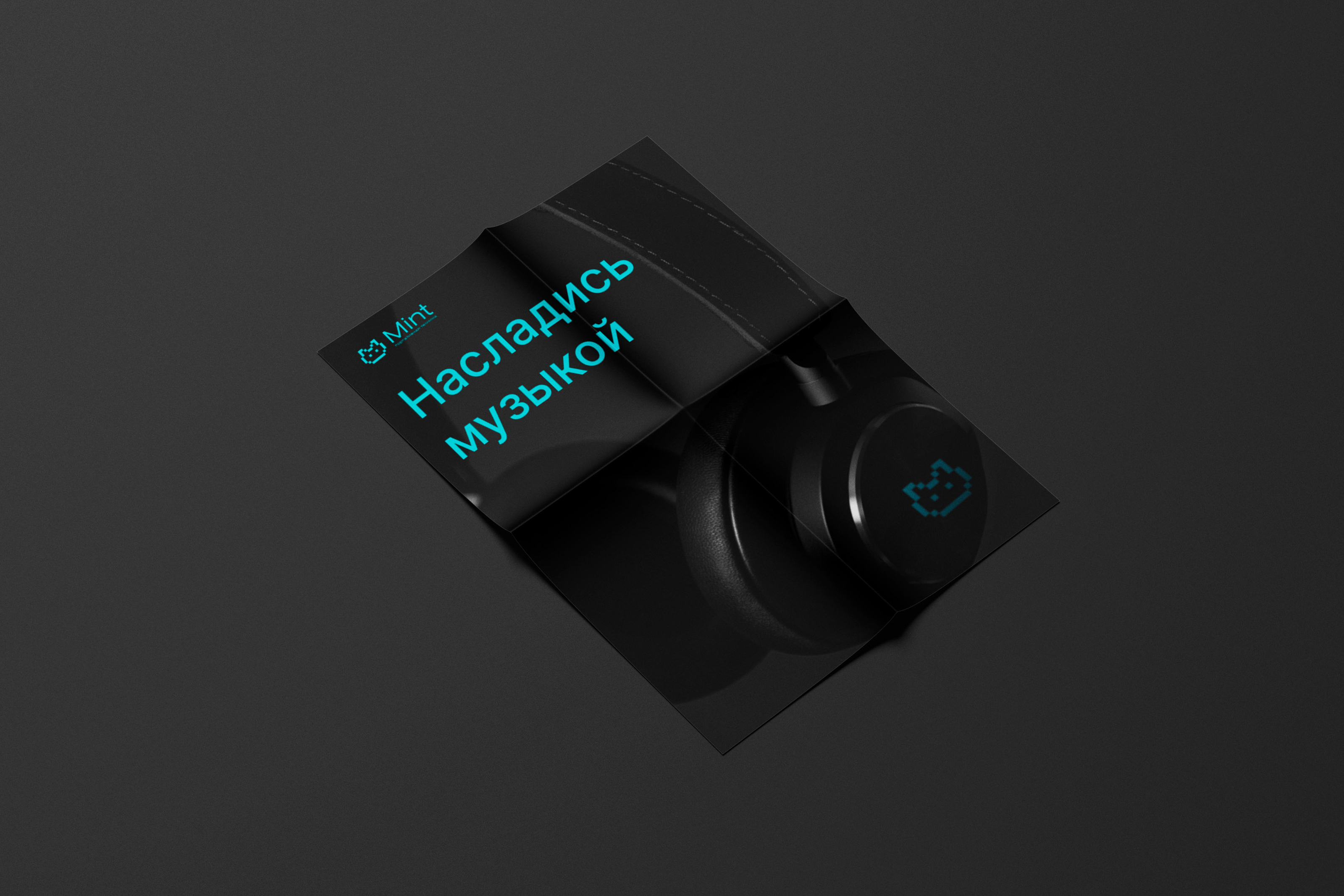 Производитель портативной техники Mint. Логотип — Изображение №6 — Брендинг, Графика на Dprofile