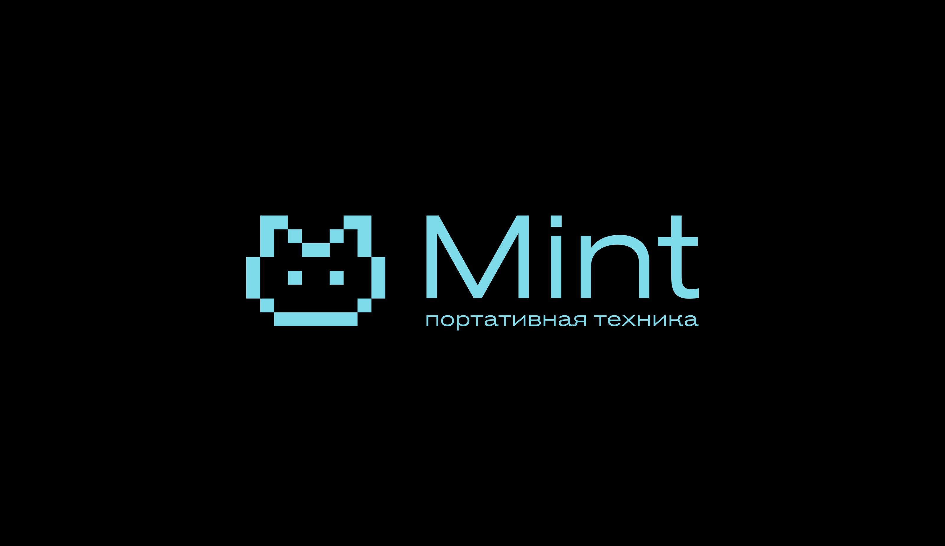 Производитель портативной техники Mint. Логотип — Изображение №2 — Брендинг, Графика на Dprofile
