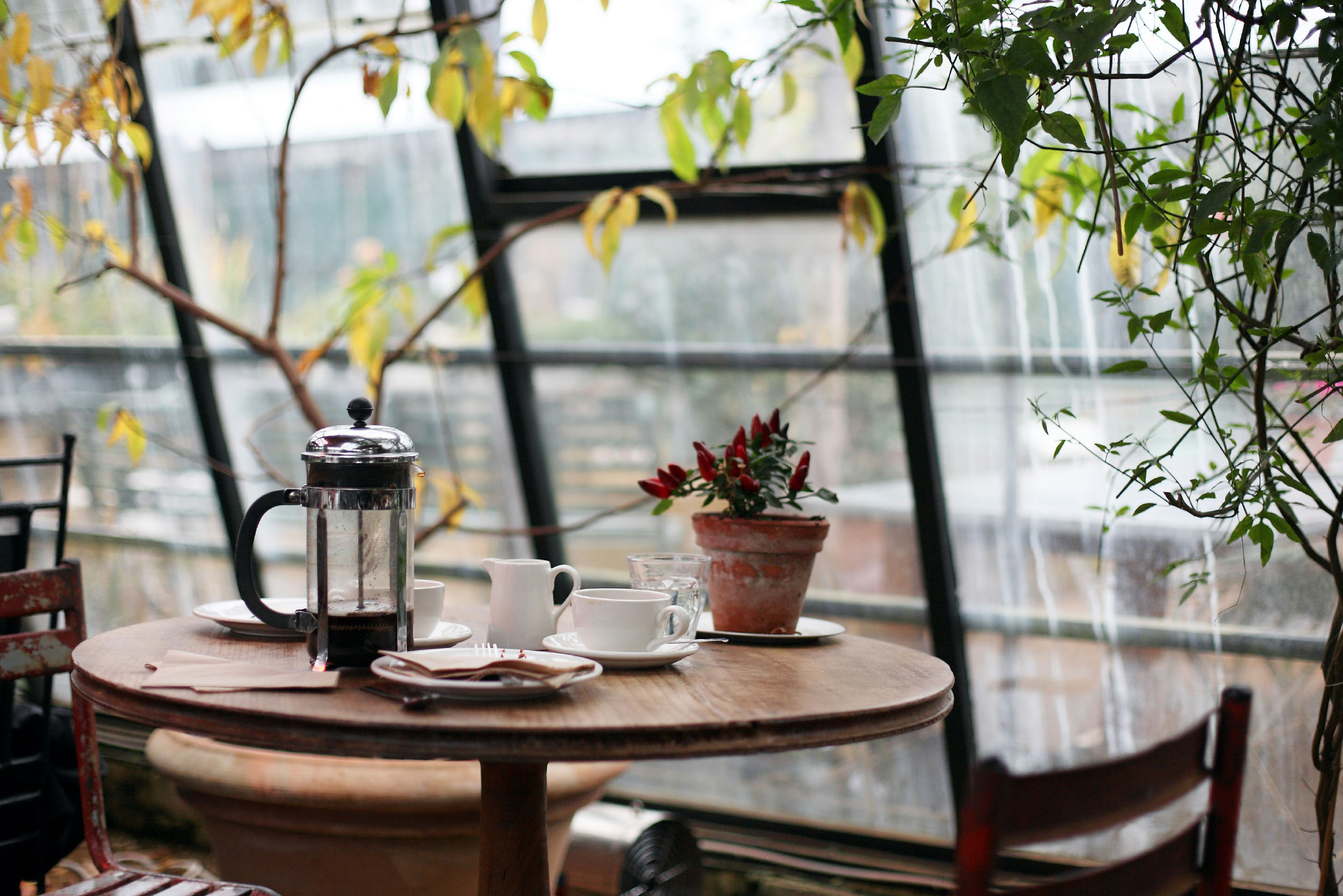 Франшиза кофеен coffee owl. Айдентика — Изображение №7 — Брендинг, Графика на Dprofile