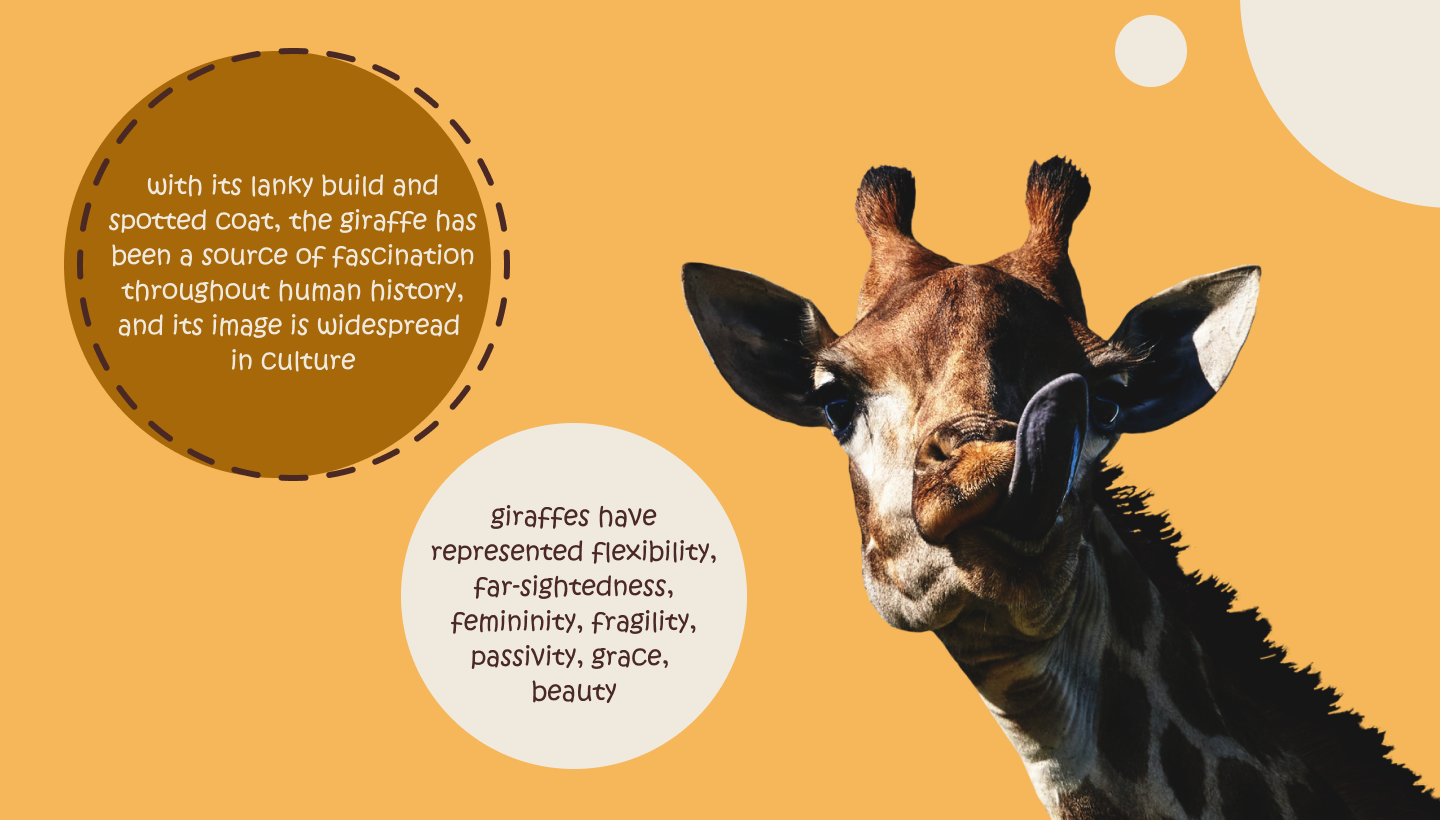GIRAFFES — Изображение №7 — Графика, Маркетинг на Dprofile
