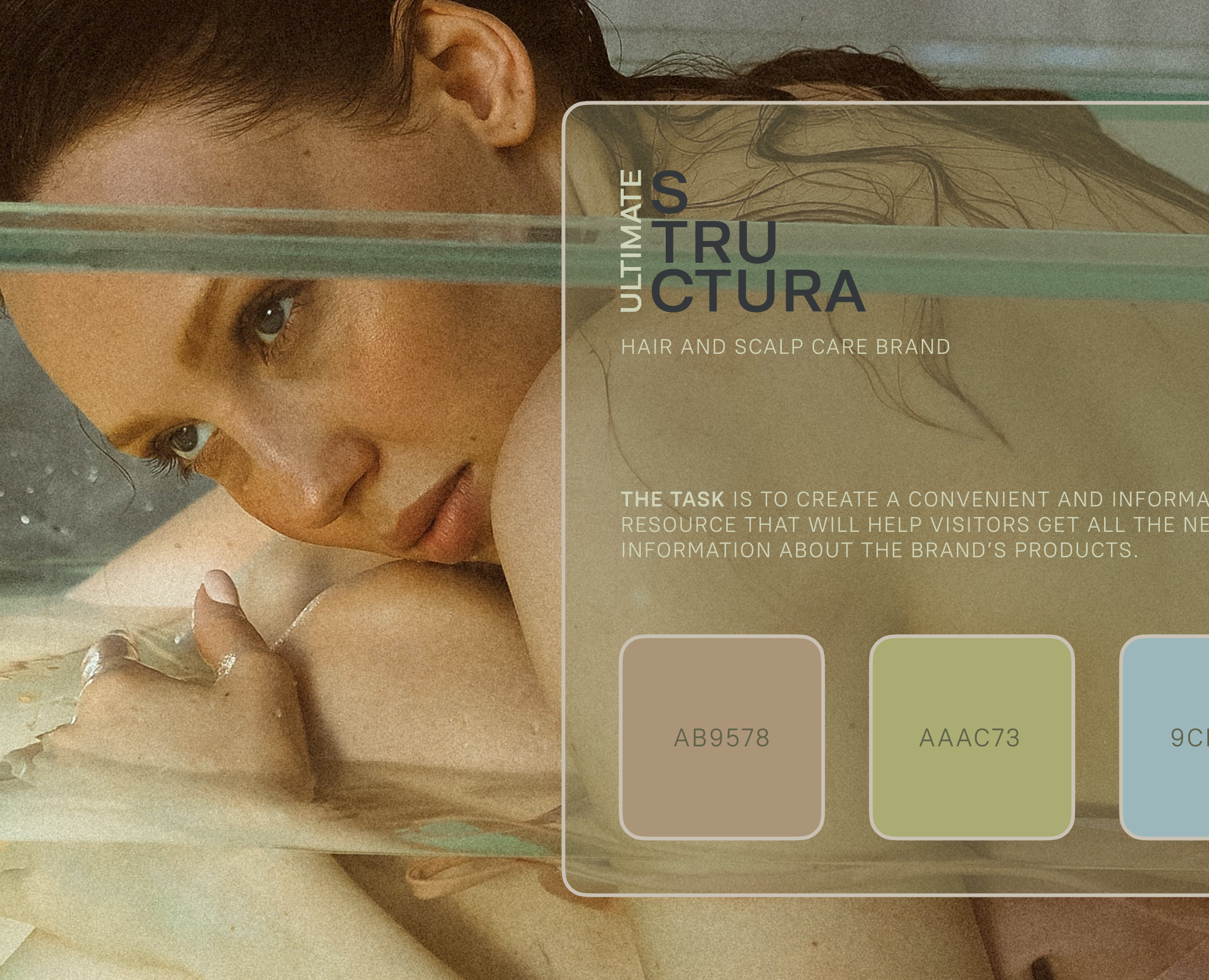 Website Structura на Dprofile