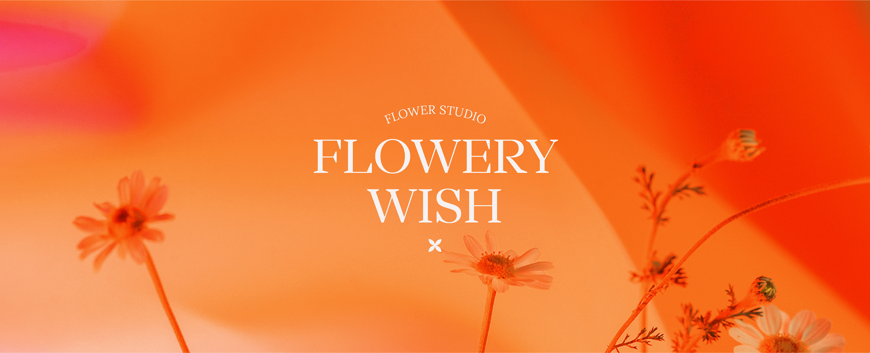 FLOWERY WISH / BRAND IDENTITY — Изображение №1 — Брендинг, Графика на Dprofile