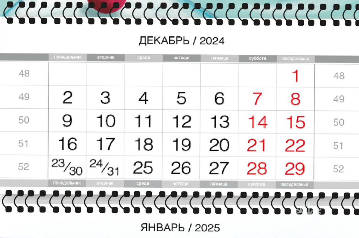 Календарь 2025 + Леттеринг — Изображение №6 — Иллюстрация, Графика на Dprofile