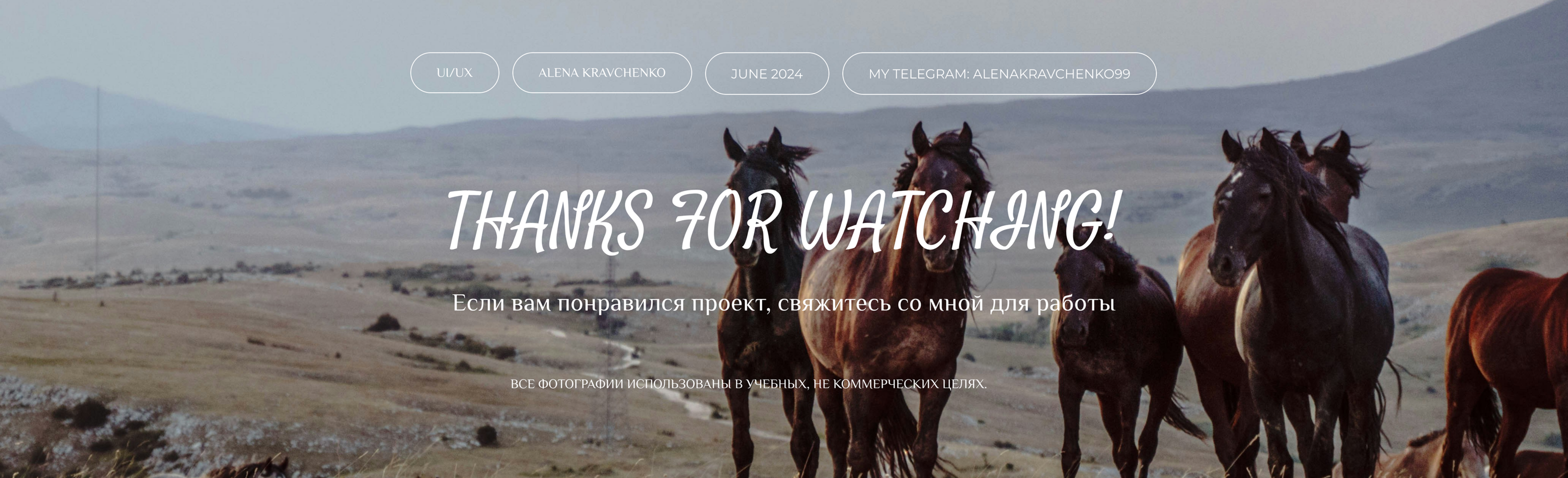 Лендинг для конного клуба — Изображение №9 — Интерфейсы на Dprofile