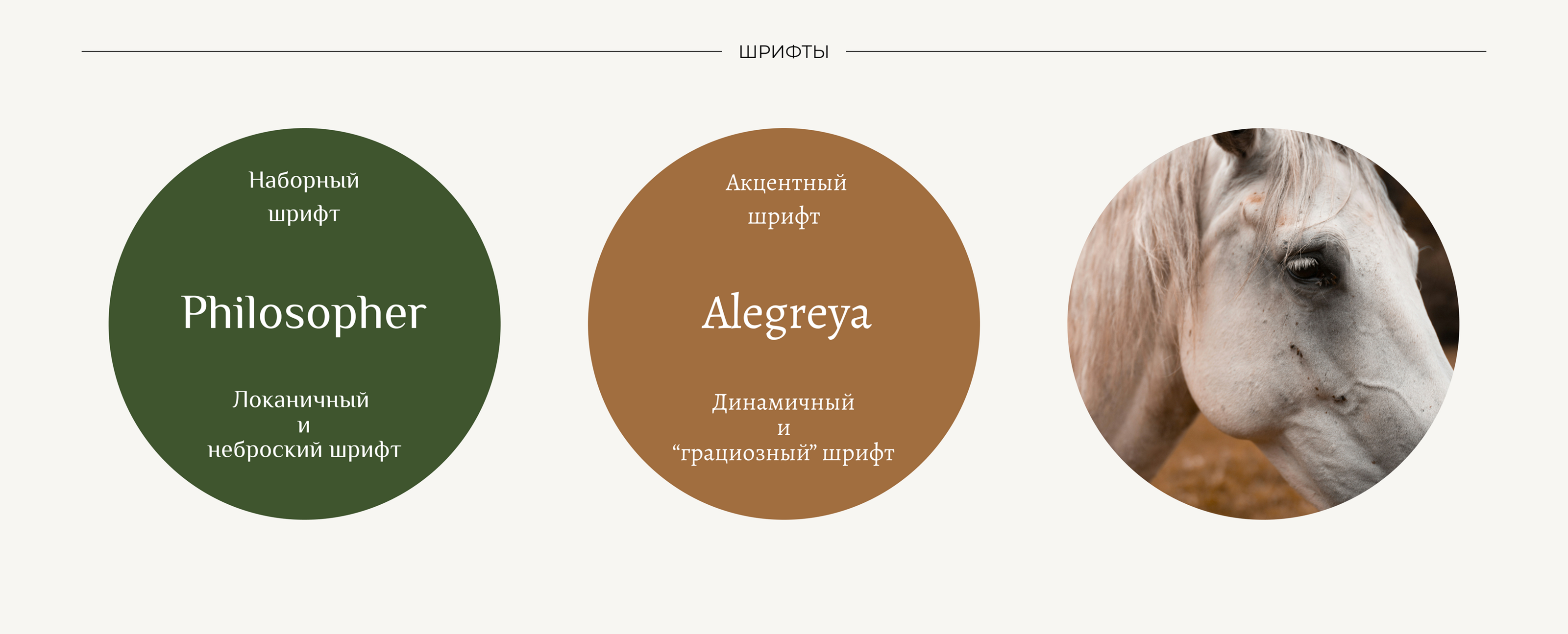 Лендинг для конного клуба — Изображение №5 — Интерфейсы на Dprofile