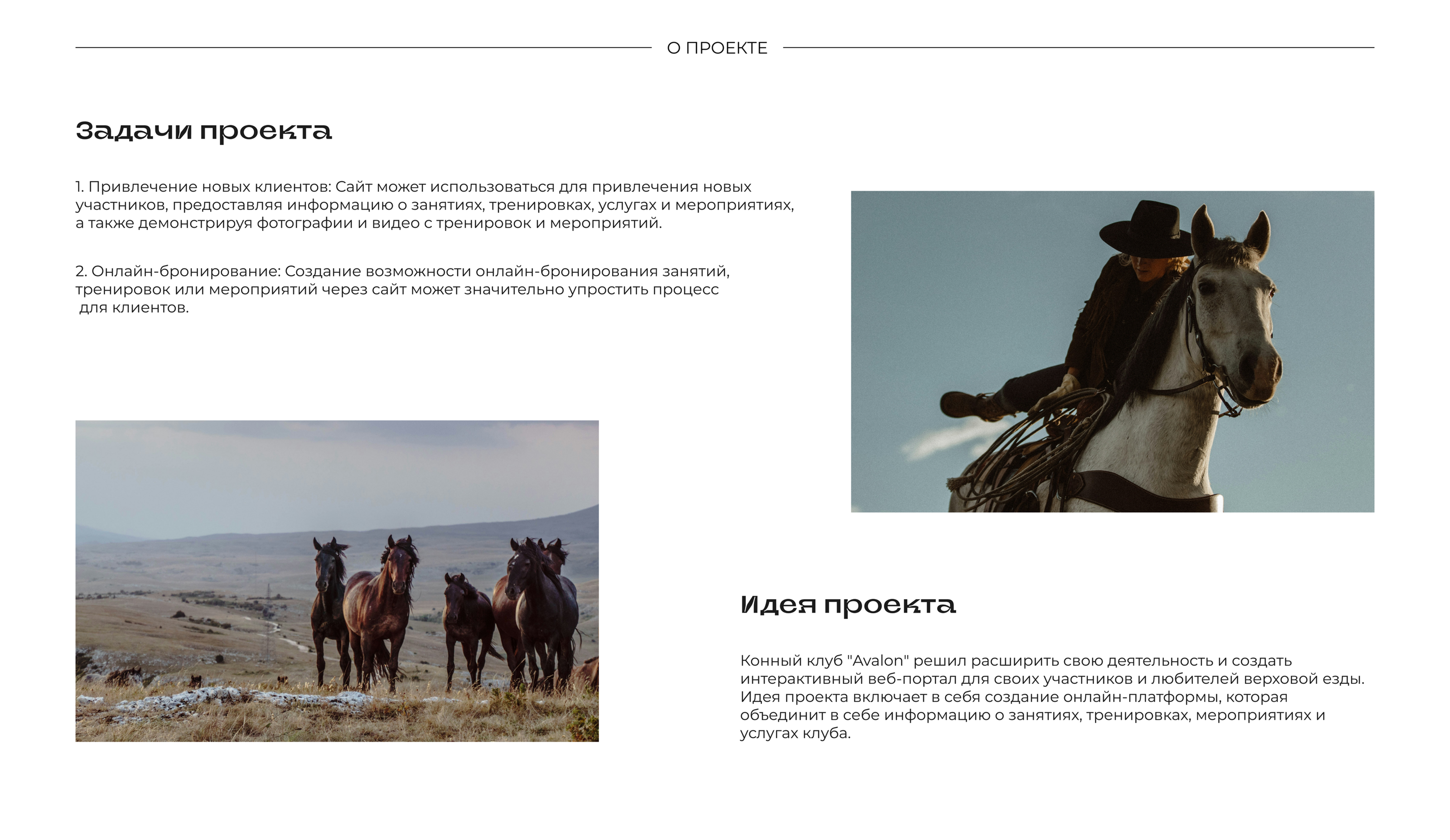 Лендинг для конного клуба — Изображение №1 — Интерфейсы на Dprofile