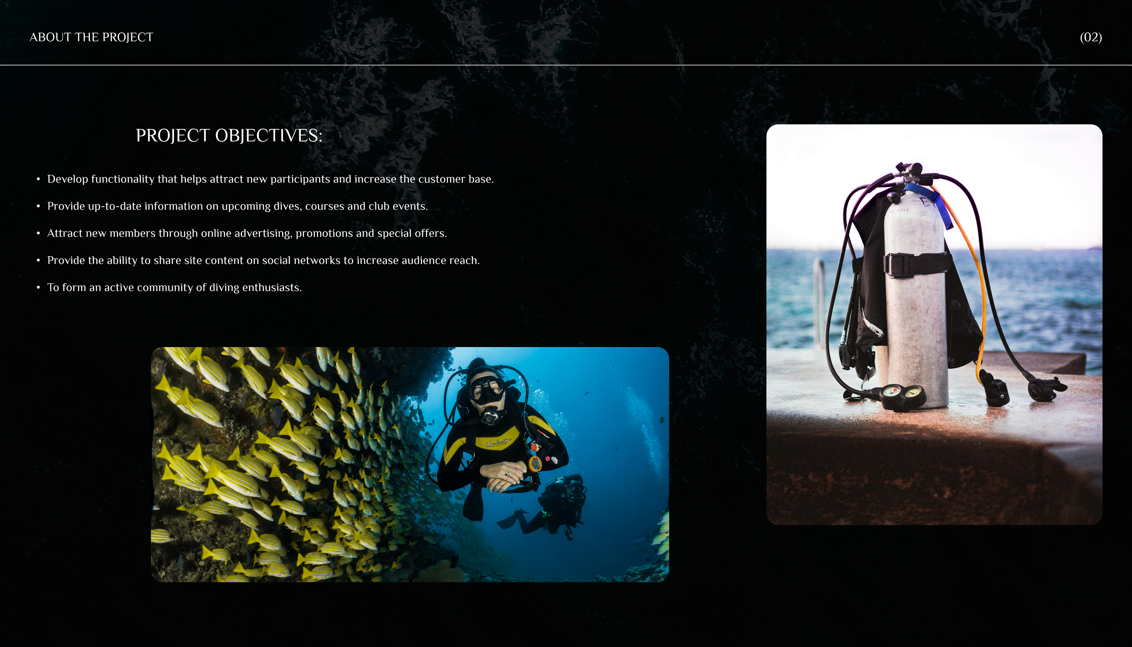 Landing page for diving club — Изображение №1 — Интерфейсы на Dprofile