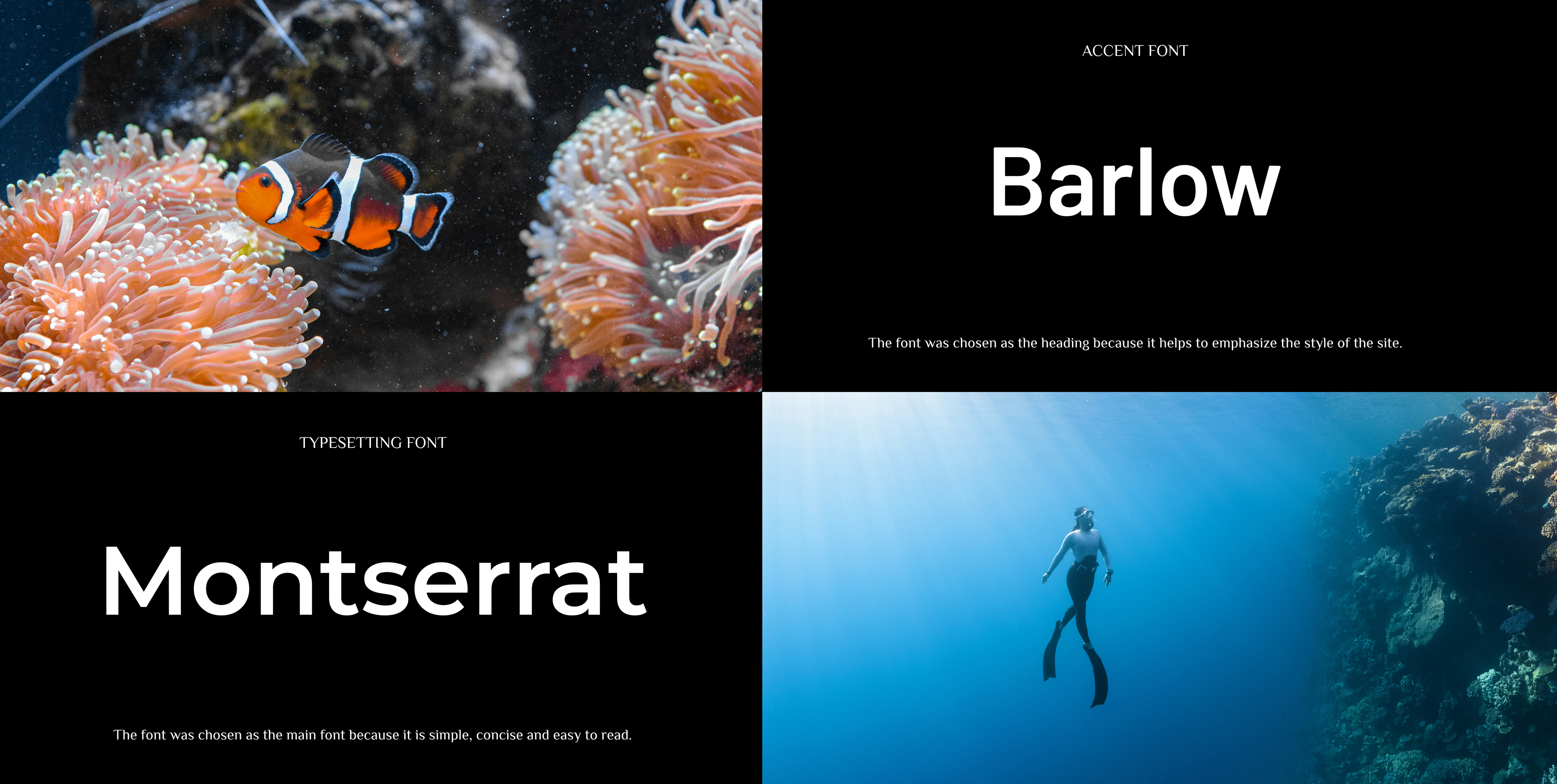 Landing page for diving club — Изображение №5 — Интерфейсы на Dprofile