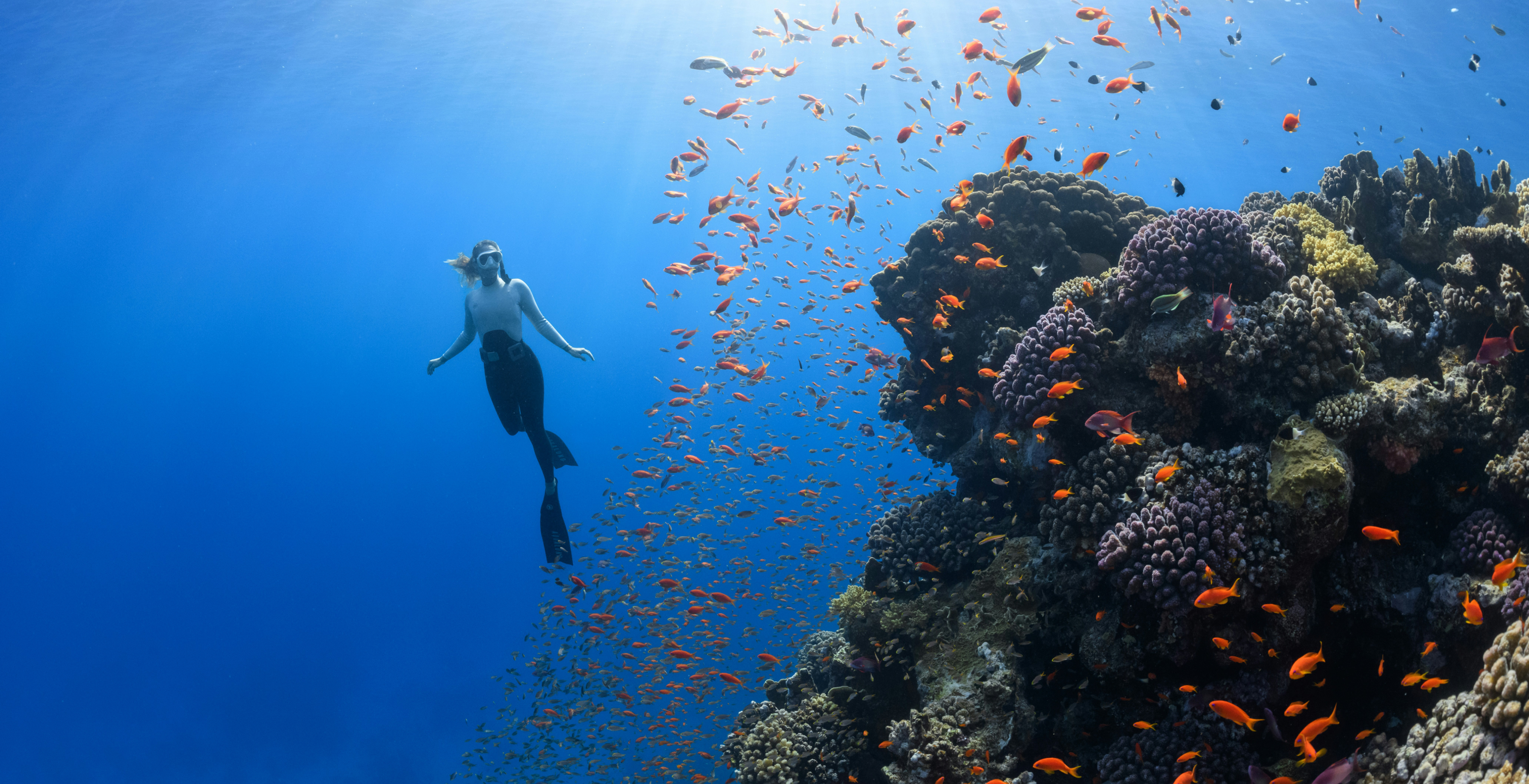 Landing page for diving club — Изображение №2 — Интерфейсы на Dprofile