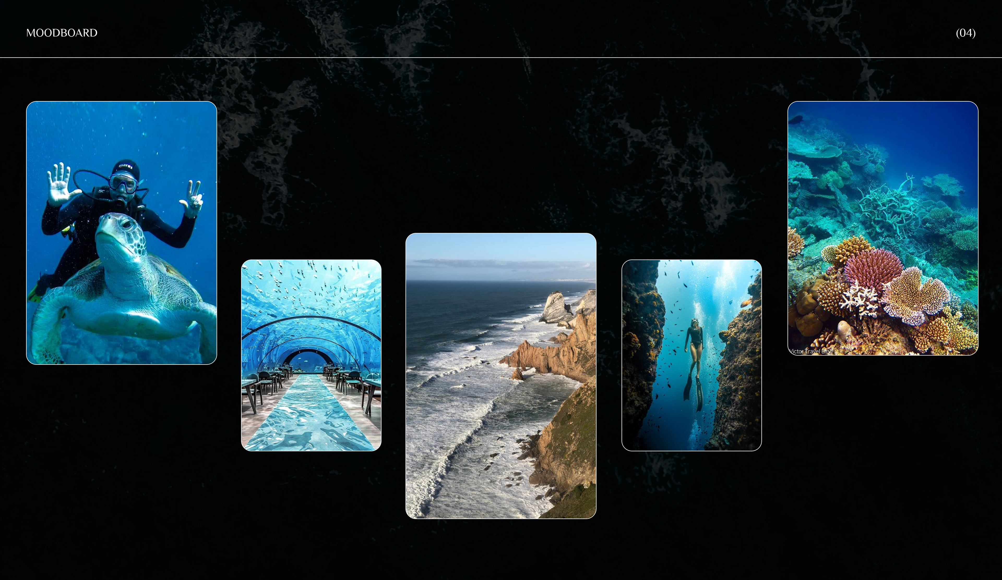 Landing page for diving club — Изображение №3 — Интерфейсы на Dprofile