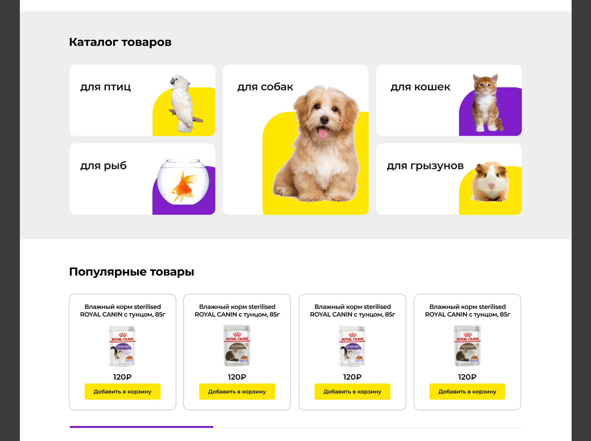 PETSTORE / ЗООМАГАЗИН — Изображение №5 — Интерфейсы на Dprofile