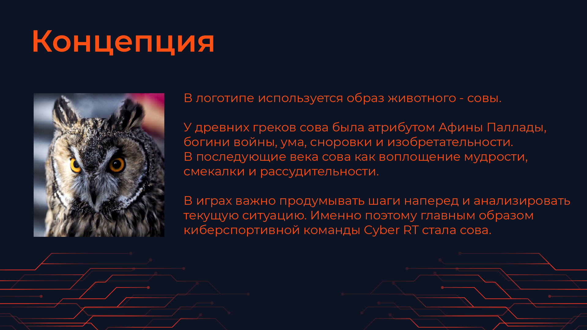 Айдентика киберспортивной команды от компании "Ростелеком" — Изображение №6 — Брендинг, Графика на Dprofile