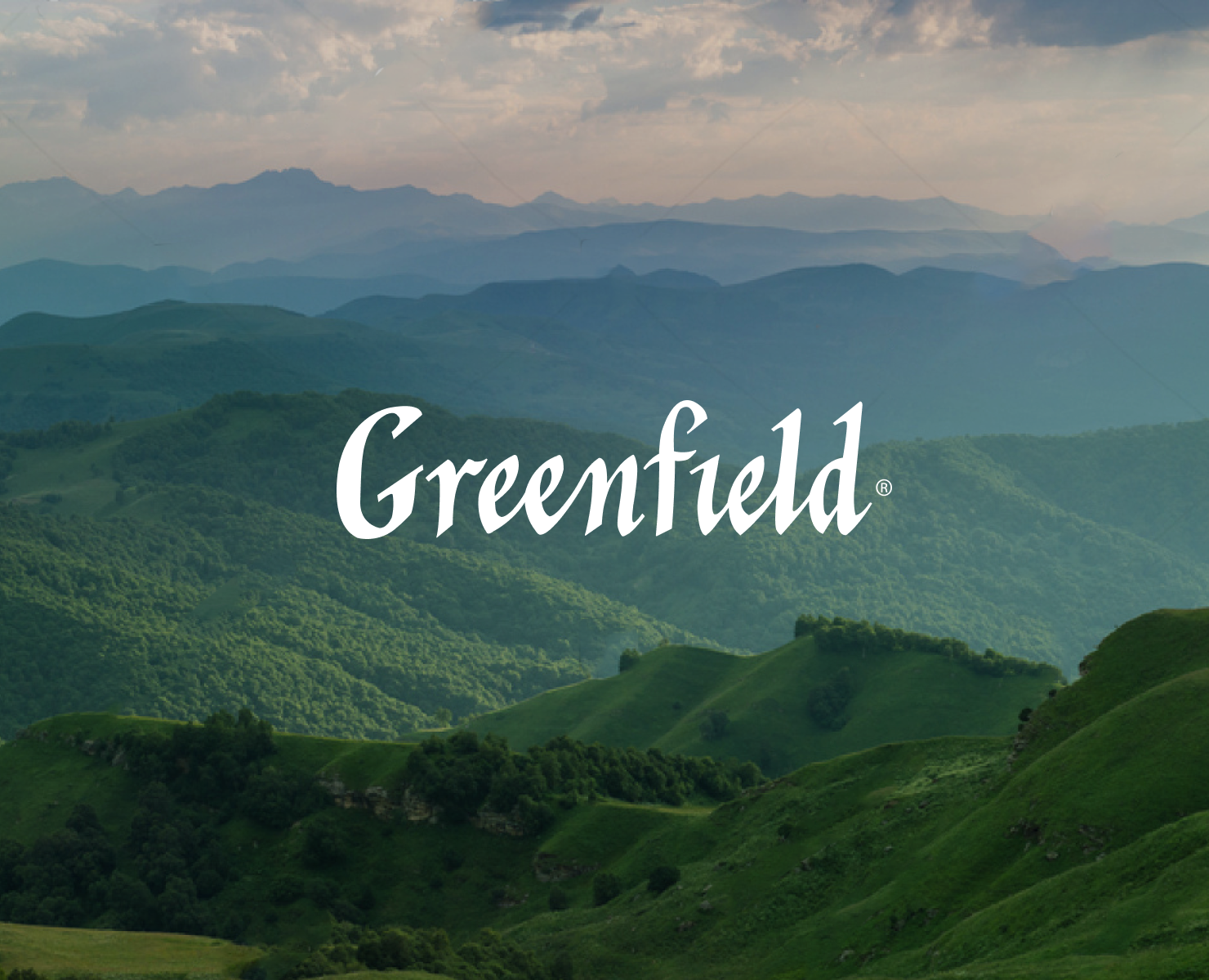 Greenfield — гармоничный сайт для чайного бренда на Dprofile