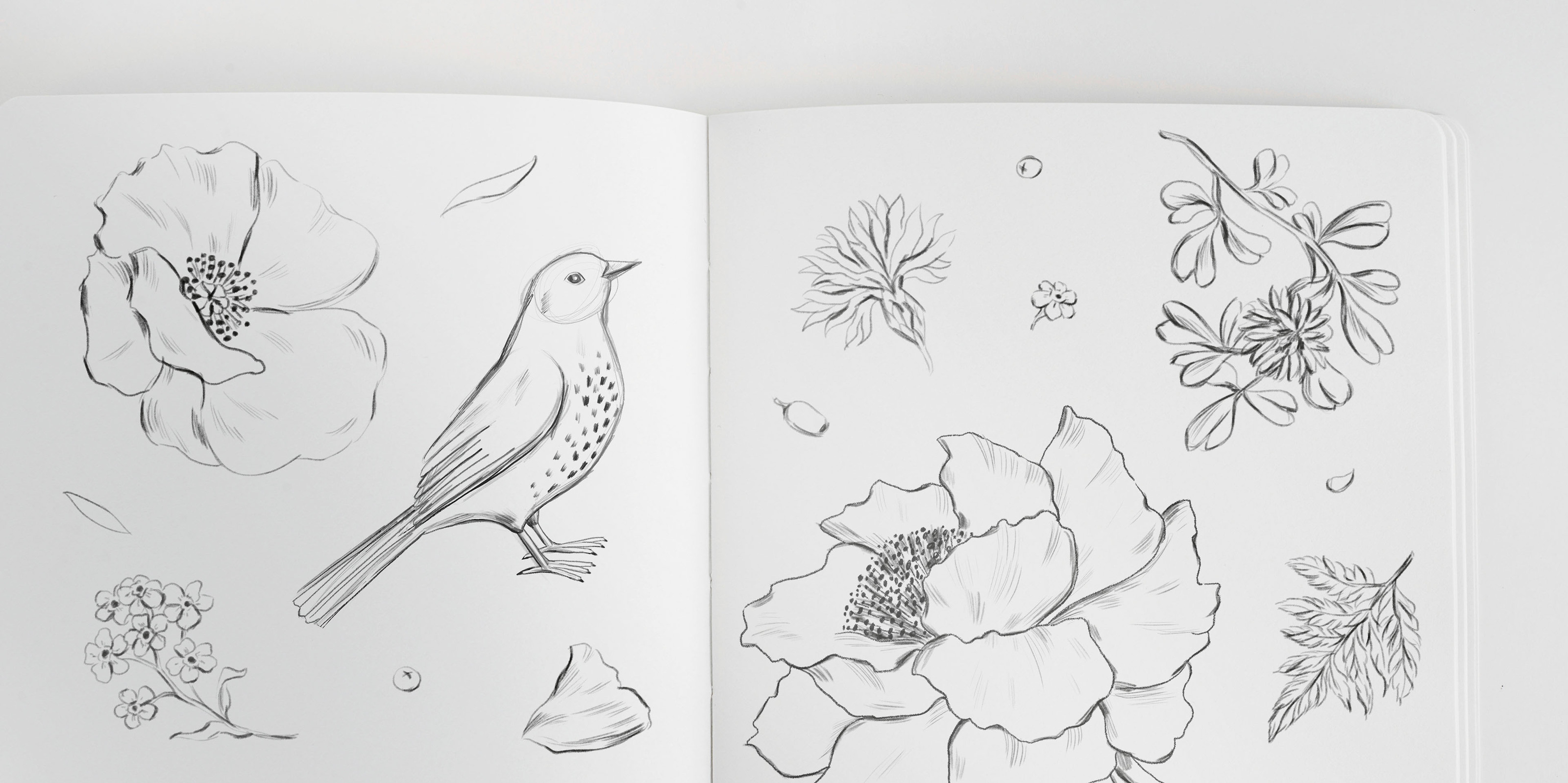 Nature Stories I Принты и паттерны для одежды — Изображение №2 — Иллюстрация, Графика на Dprofile