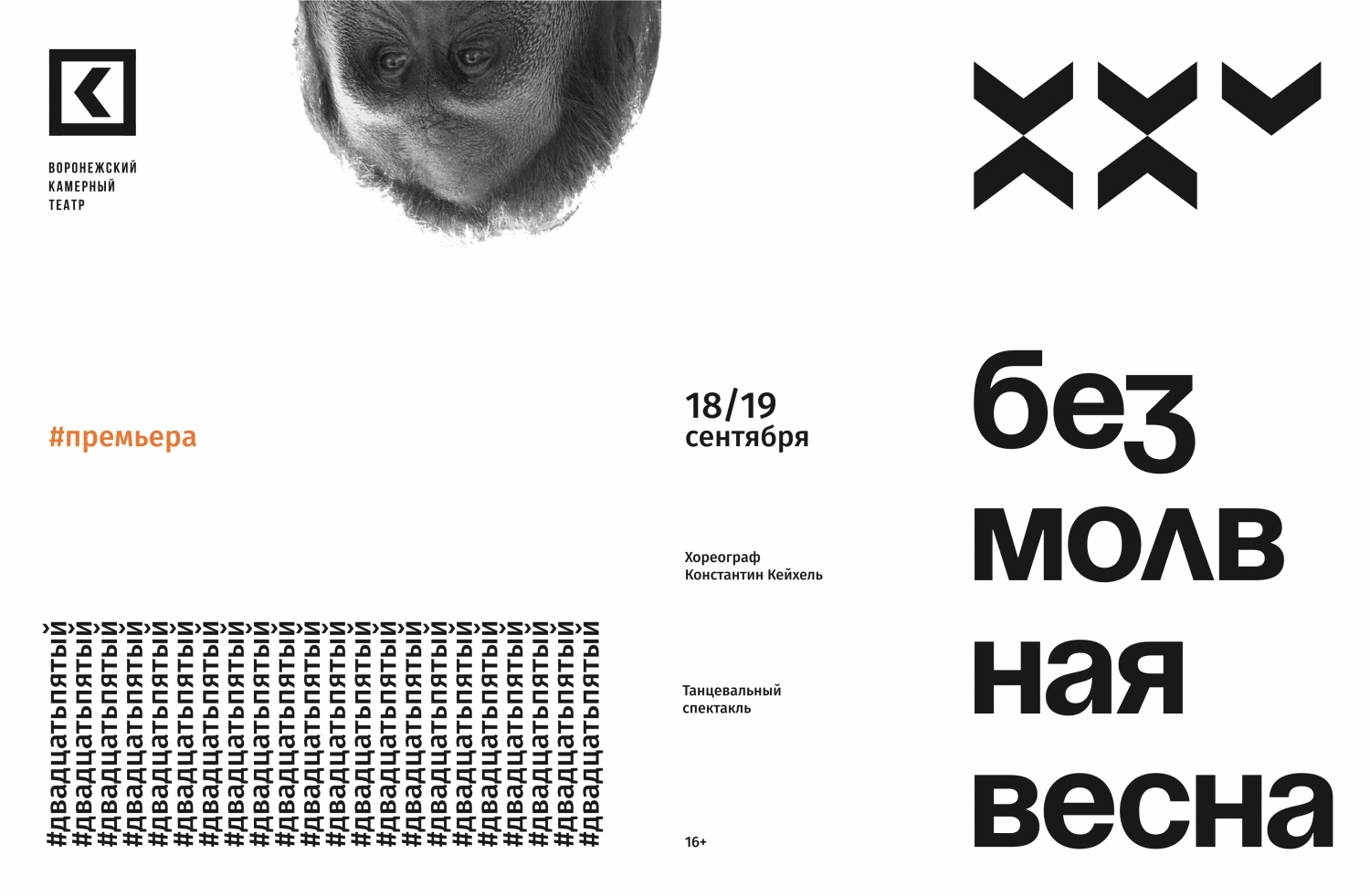 VORONEZH CHAMBER THEATRE/25TH SEASON/IDENTITY — Изображение №11 — Брендинг, Графика на Dprofile