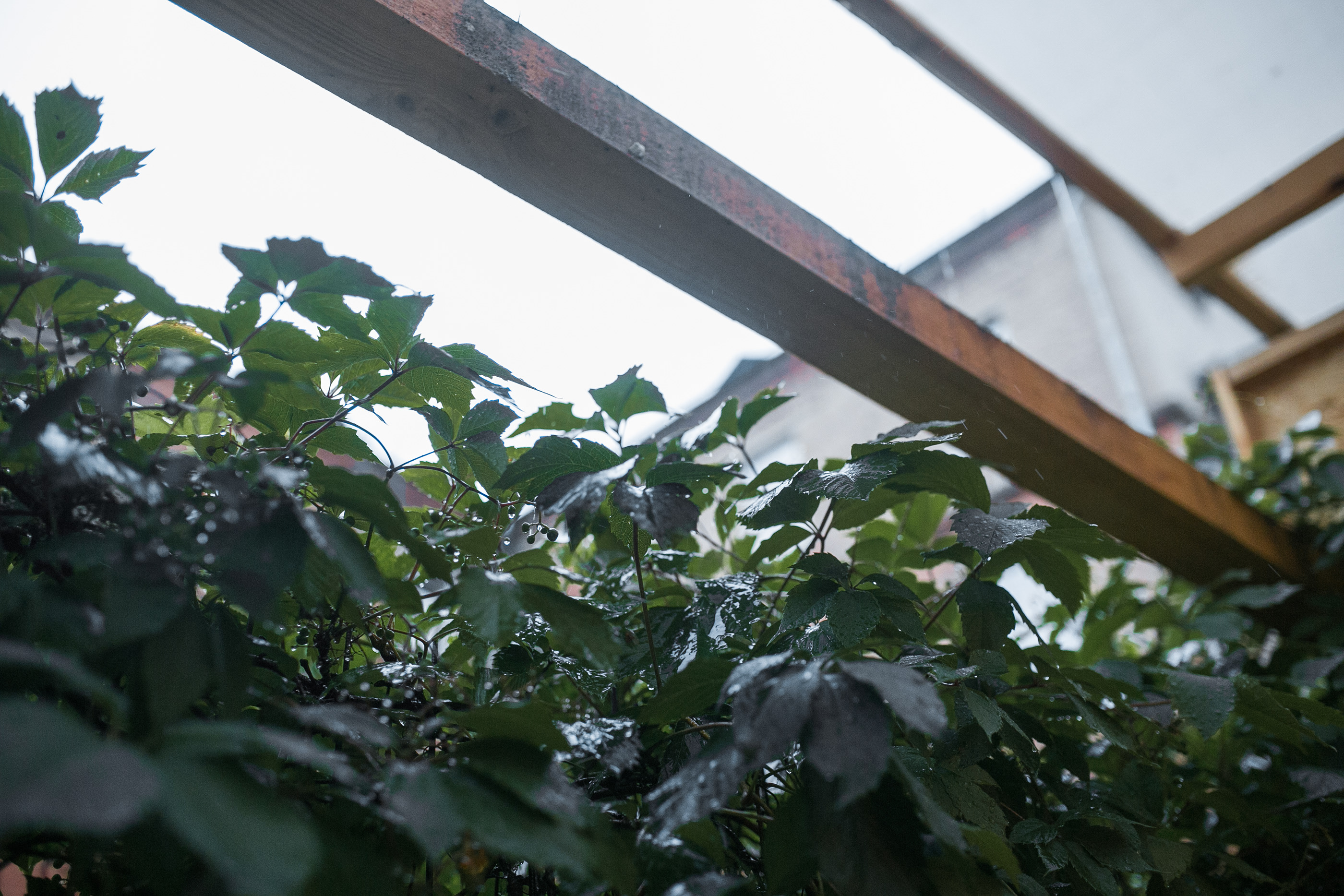 WORKOHOLISM/ W.H.N.S./ POSTERS 19 — Изображение №4 — Графика на Dprofile