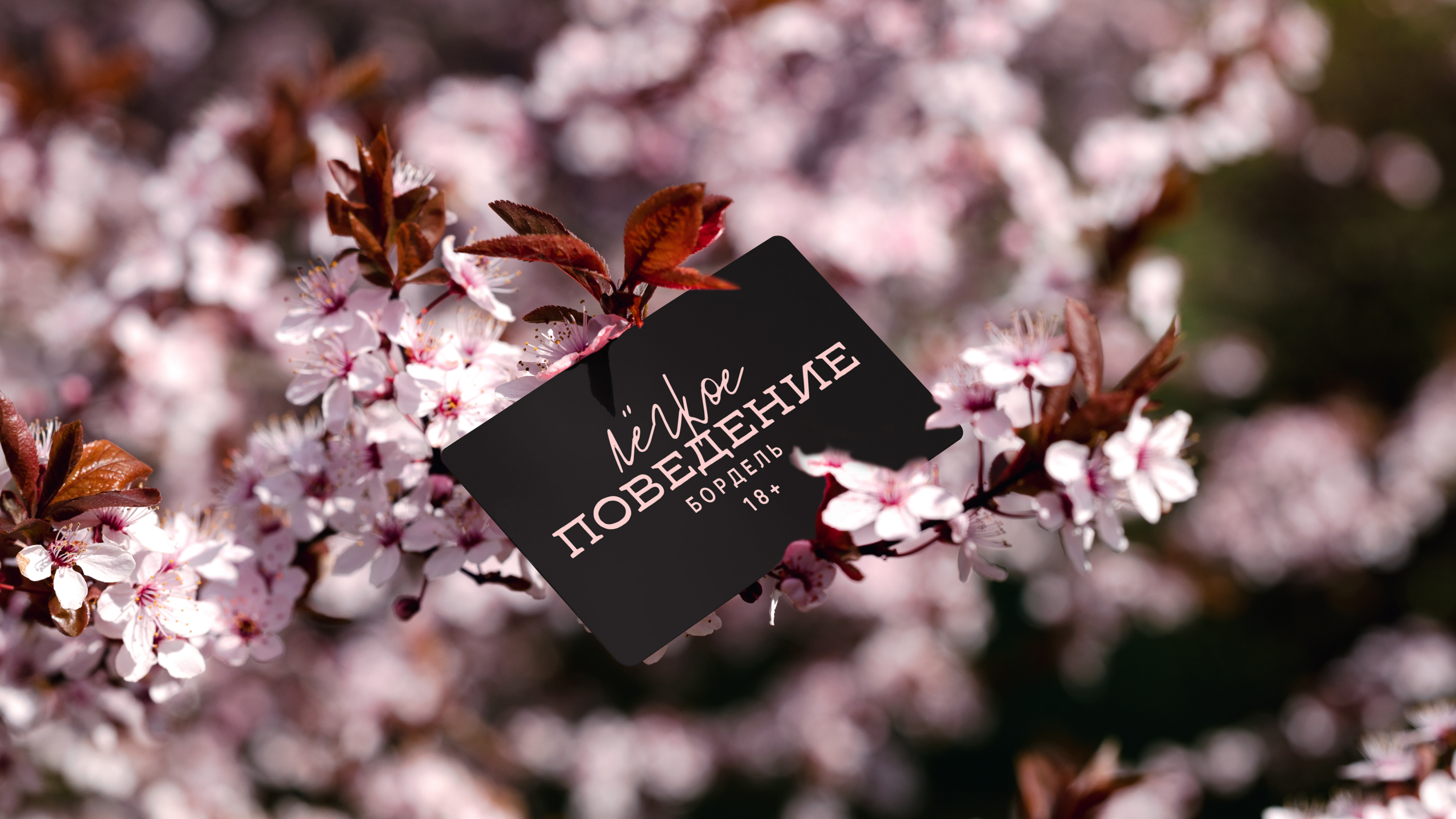 ЛЁГКОЕ ПОВЕДЕНИЕ/IDENTITY — Изображение №4 — Брендинг, Графика на Dprofile