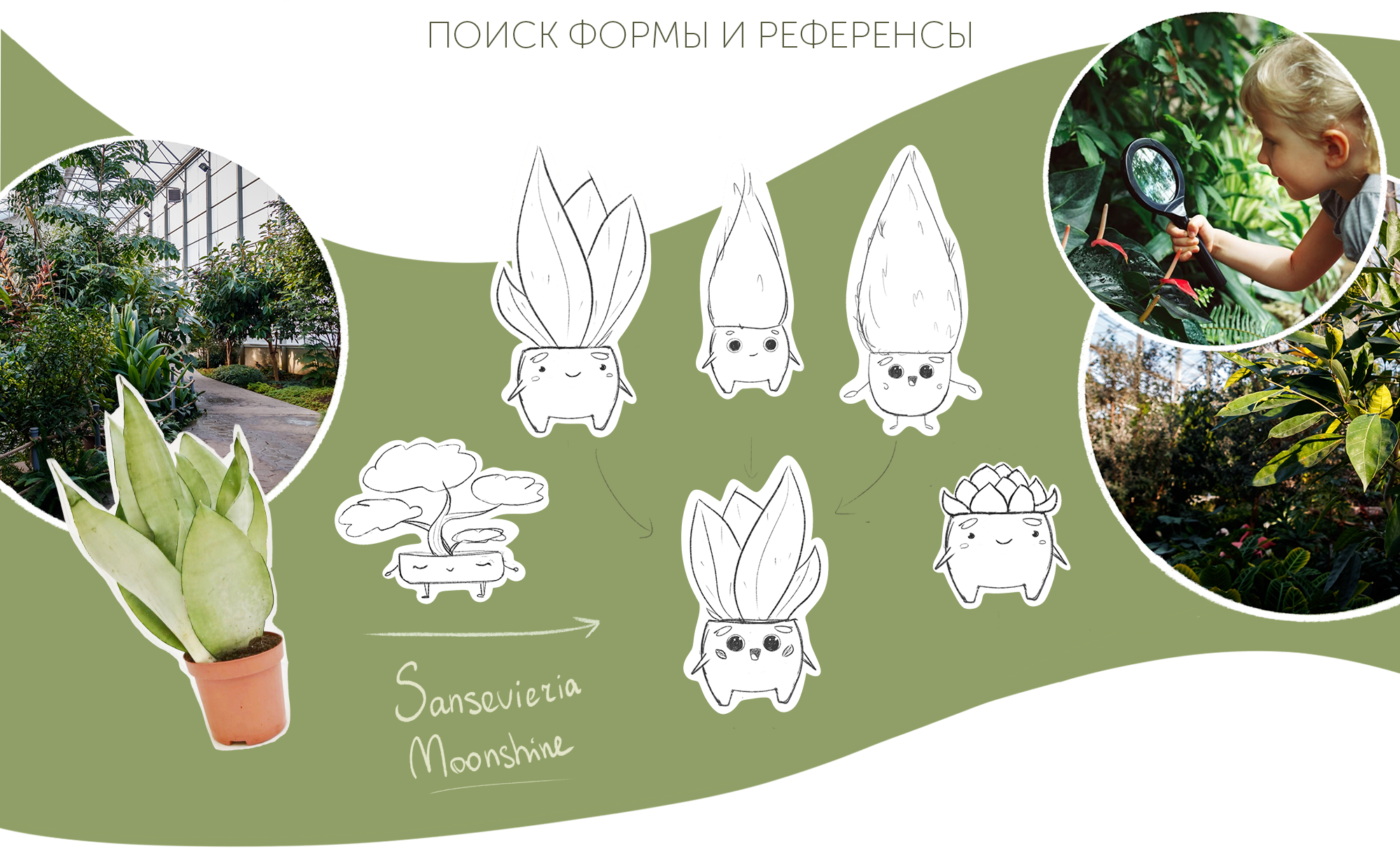 Персонаж для ботанического сада — Изображение №2 — Брендинг, Иллюстрация на Dprofile
