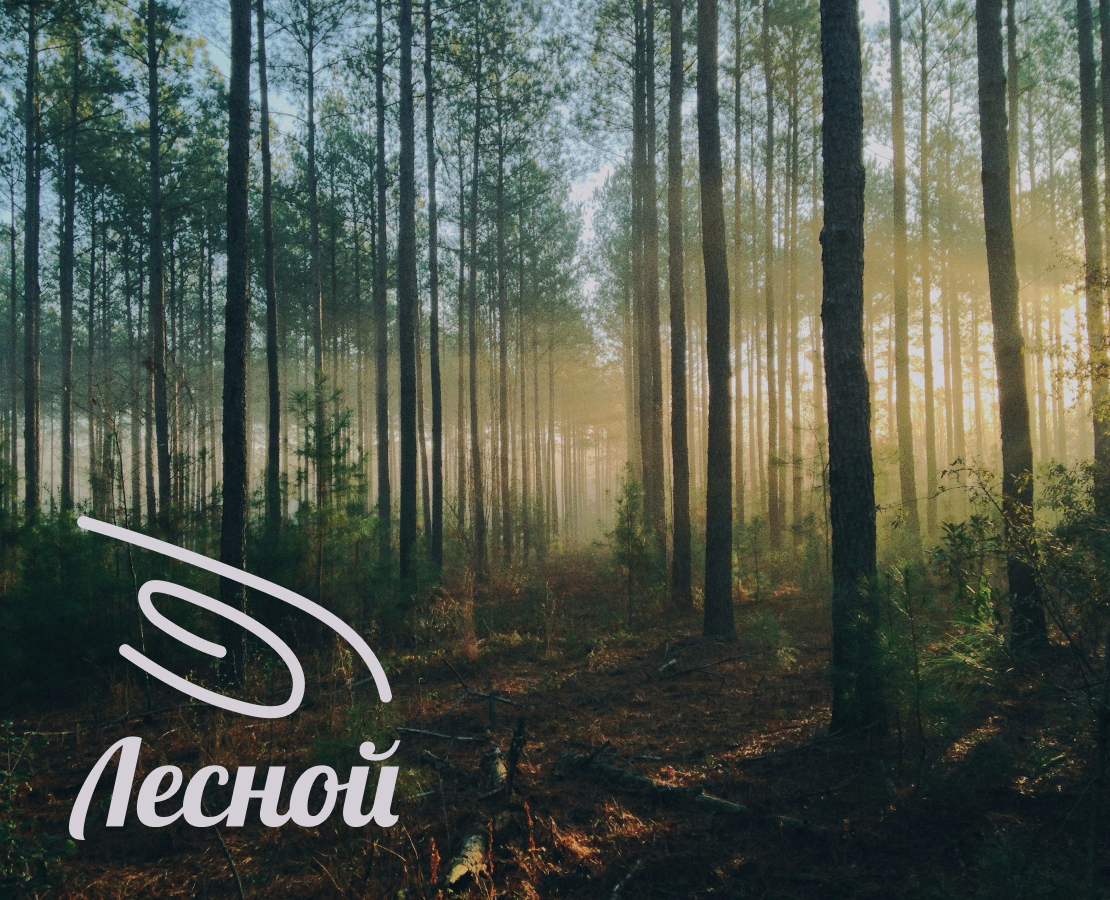 Коттеджный поселок Лесной - UX/UI Дизайн — Интерфейсы на Dprofile