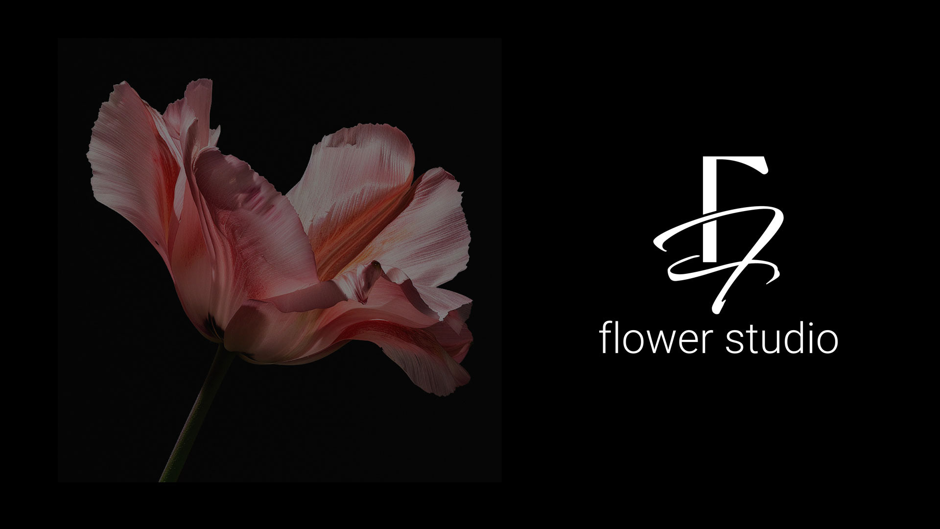 Floral Frenzy — Изображение №3 — Брендинг на Dprofile