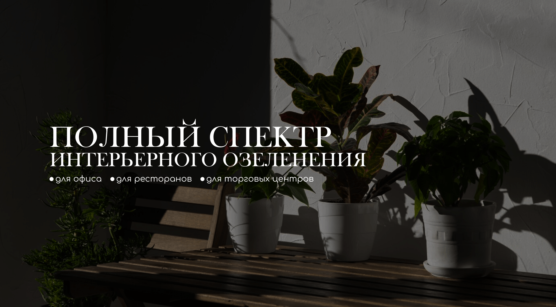 Logo for "Flo agency" — Изображение №5 — Брендинг на Dprofile