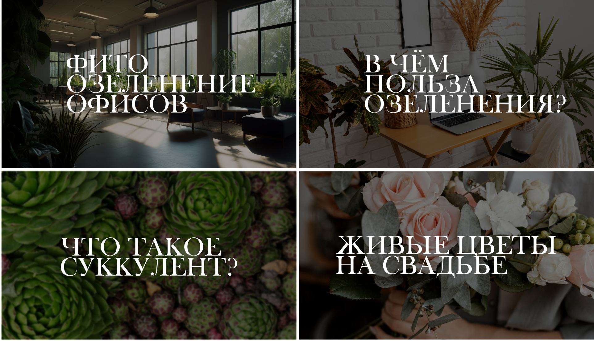 Logo for "Flo agency" — Изображение №6 — Брендинг на Dprofile