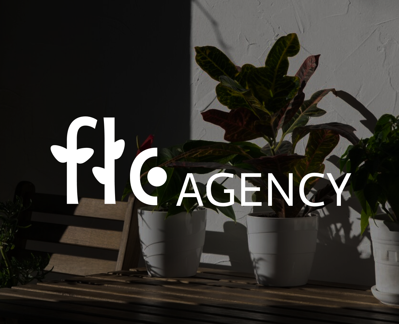 Logo for "Flo agency" на Dprofile