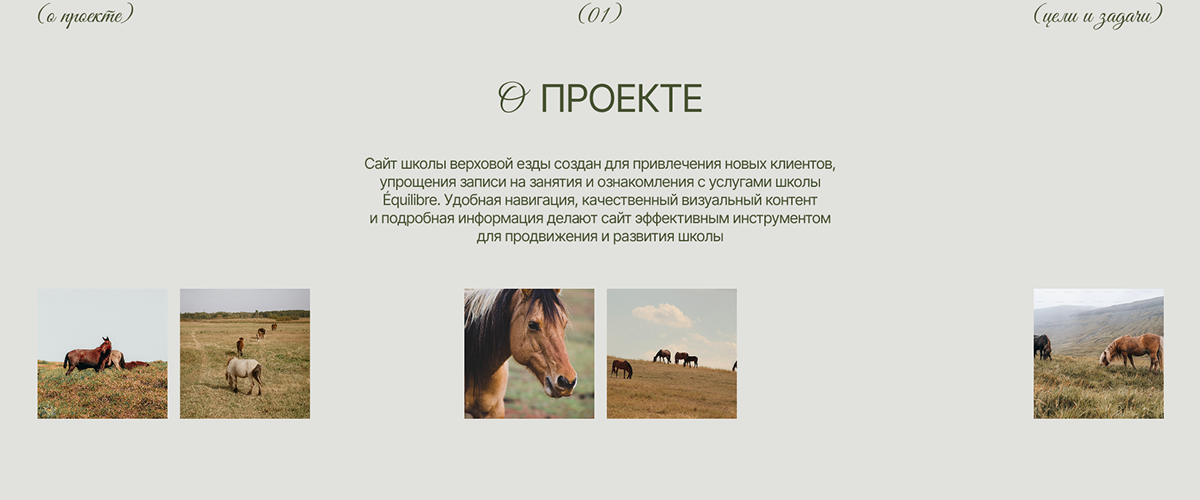 EQUILIBRE корпоративный сайт для школы верховой езды — Изображение №2 — Интерфейсы на Dprofile
