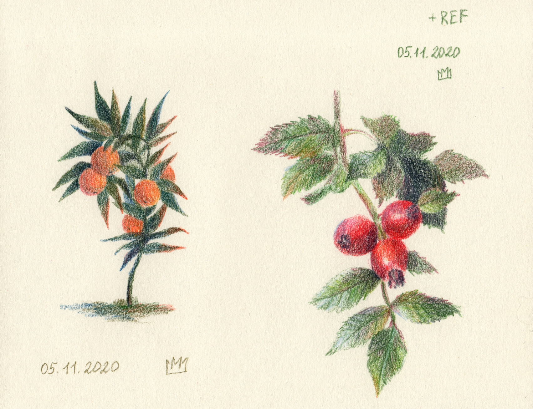 Цветные карандаши-Графика на бумаге — Изображение №11 — Иллюстрация на Dprofile