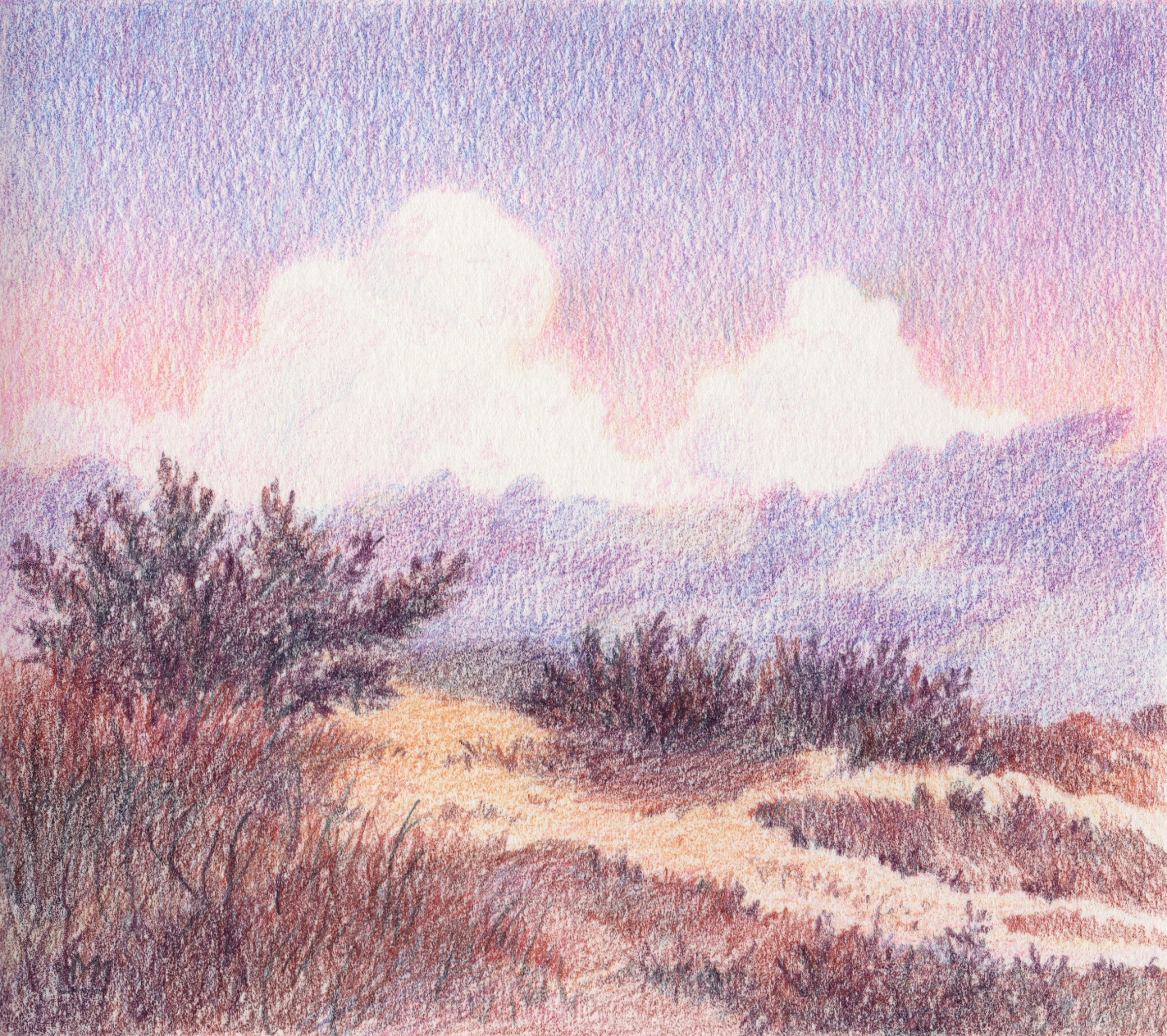 Цветные карандаши-Графика на бумаге — Изображение №7 — Иллюстрация на Dprofile